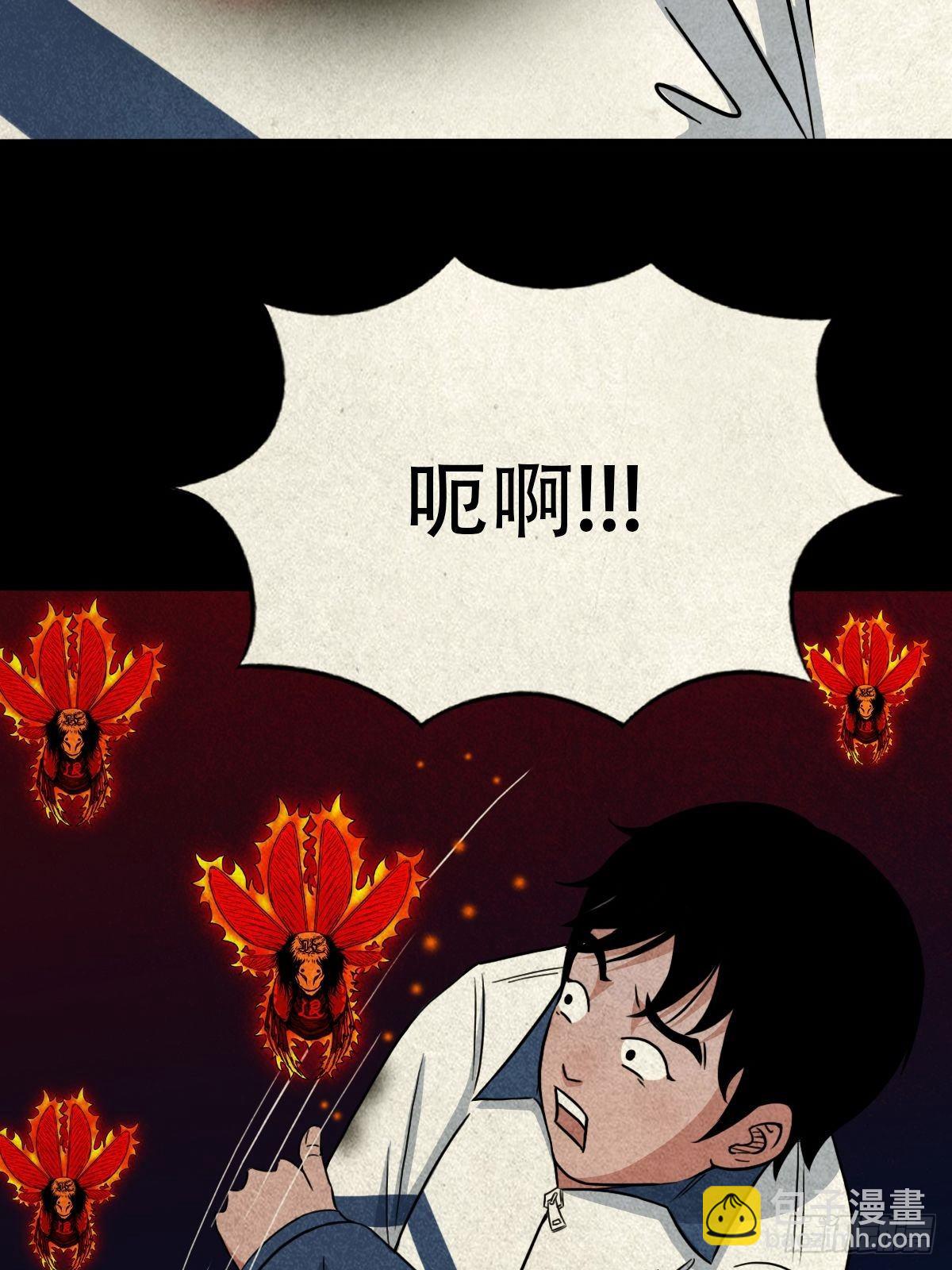 飞虎将军蟾15
