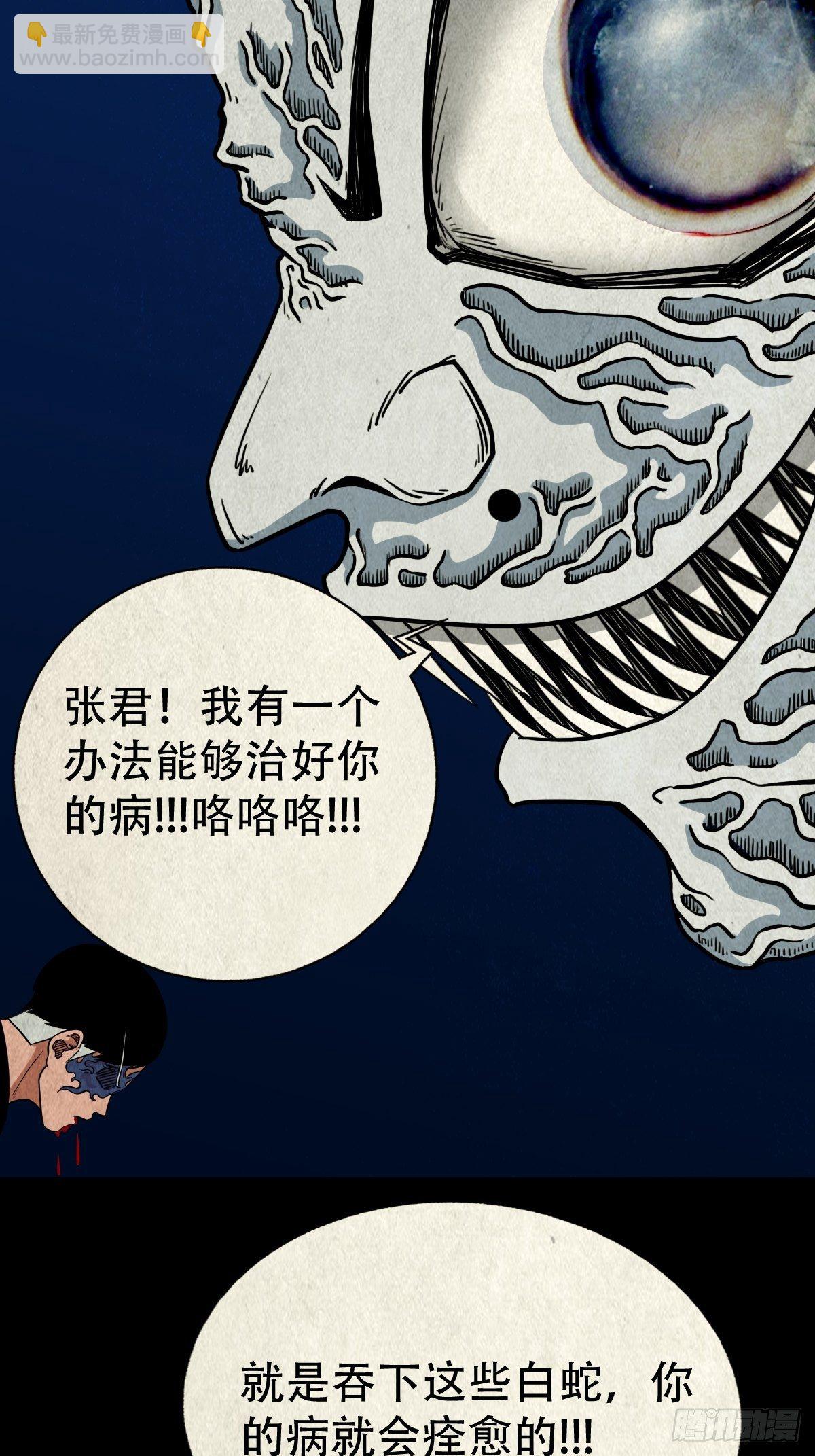 张君命（下）1