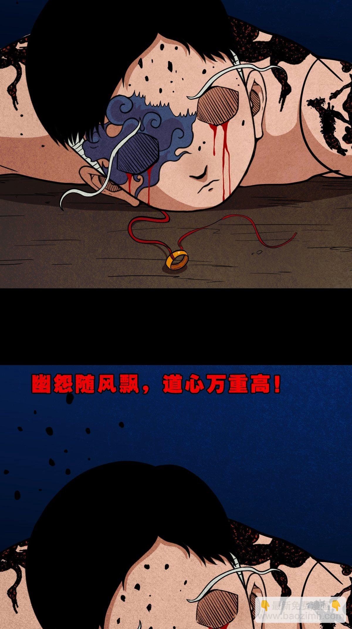张君命（下）33