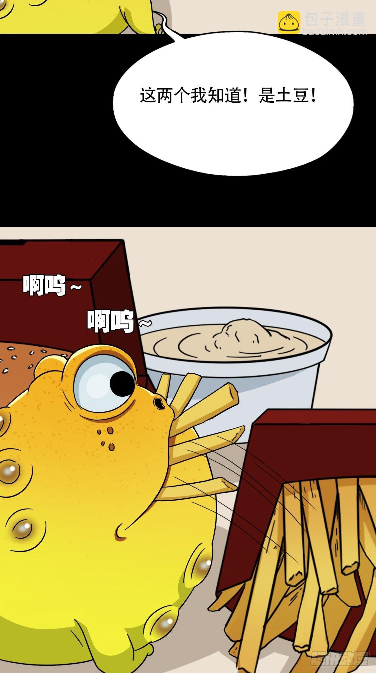 狗宝17