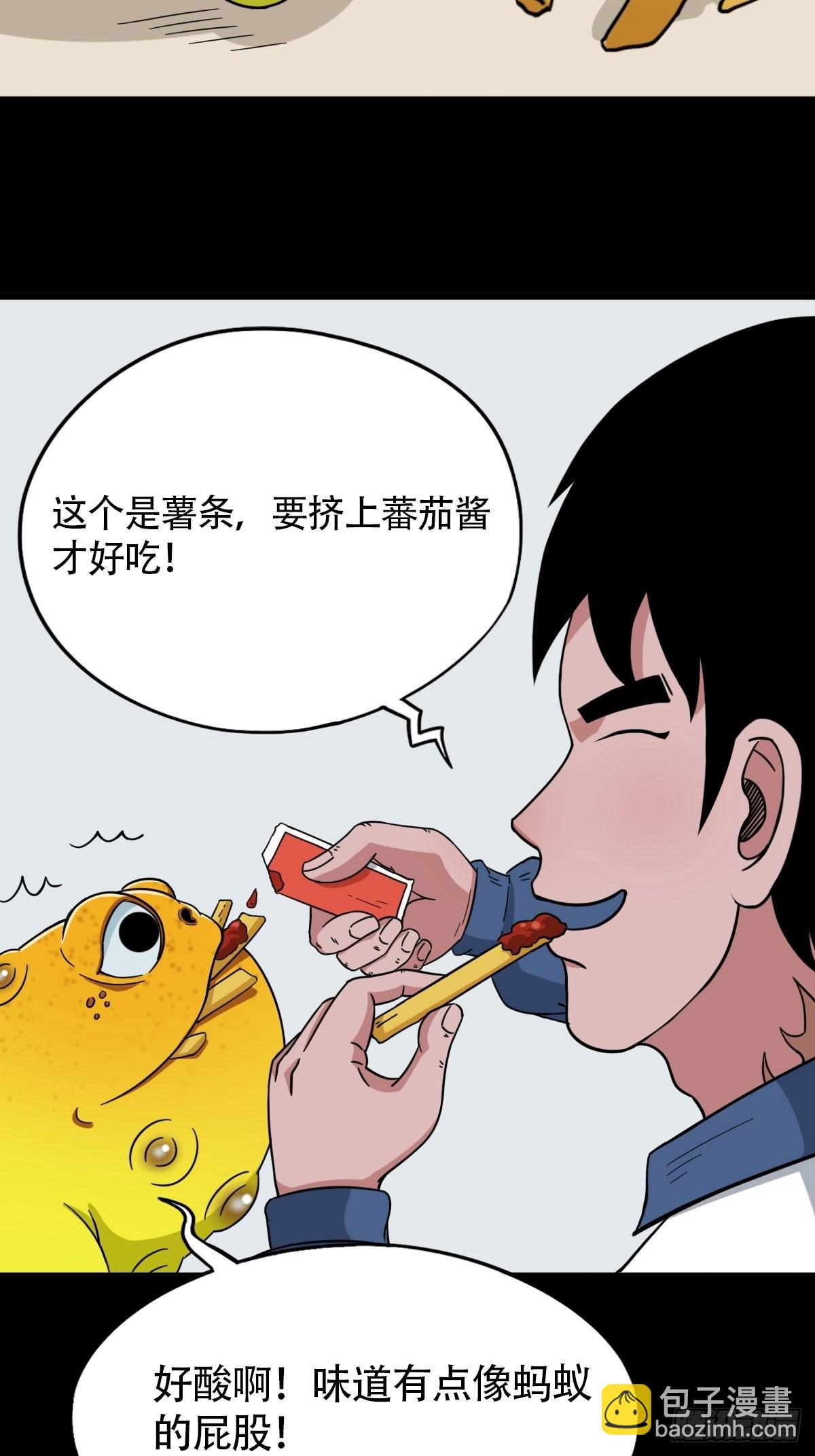 狗宝18