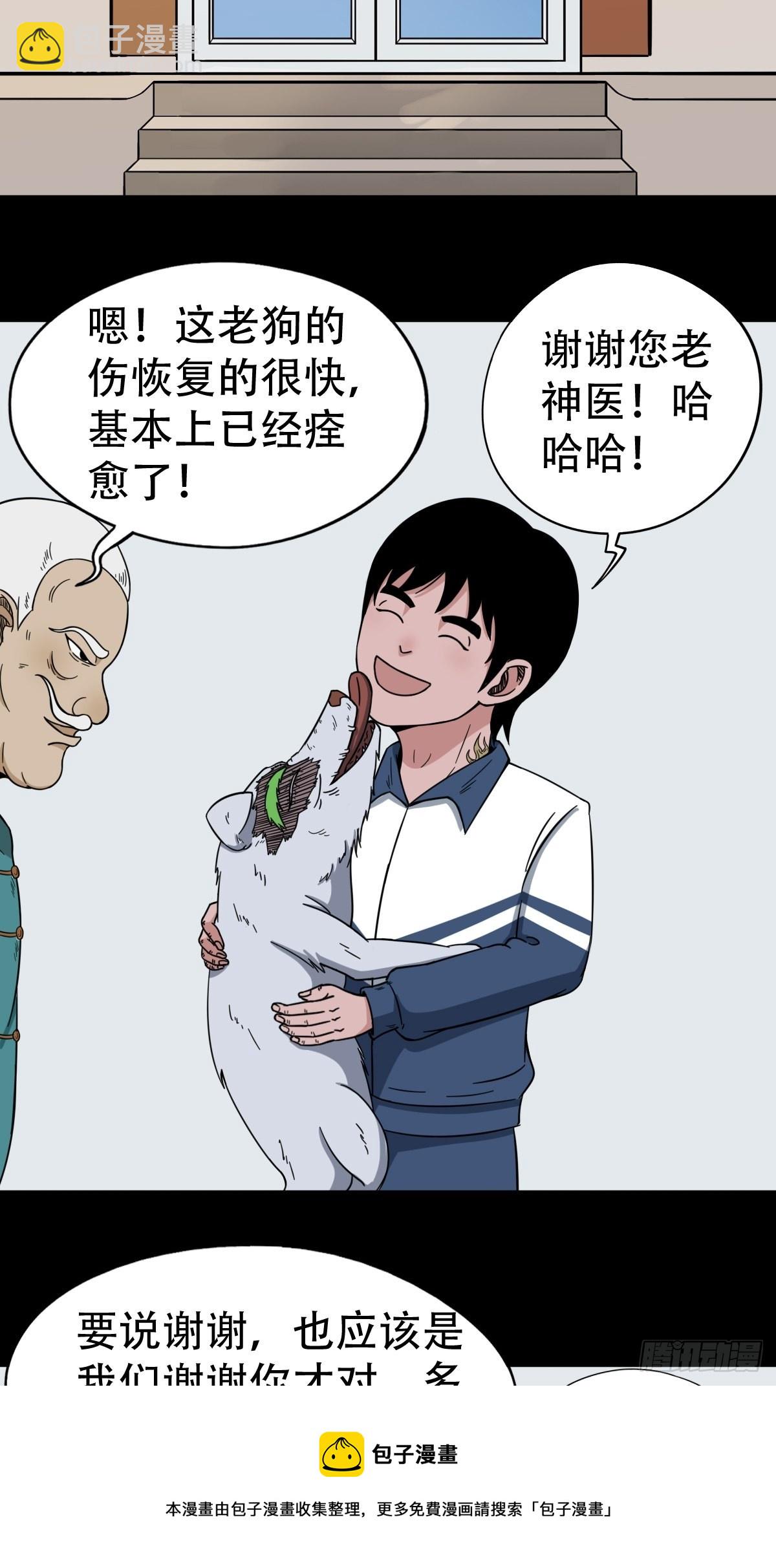 狗宝30