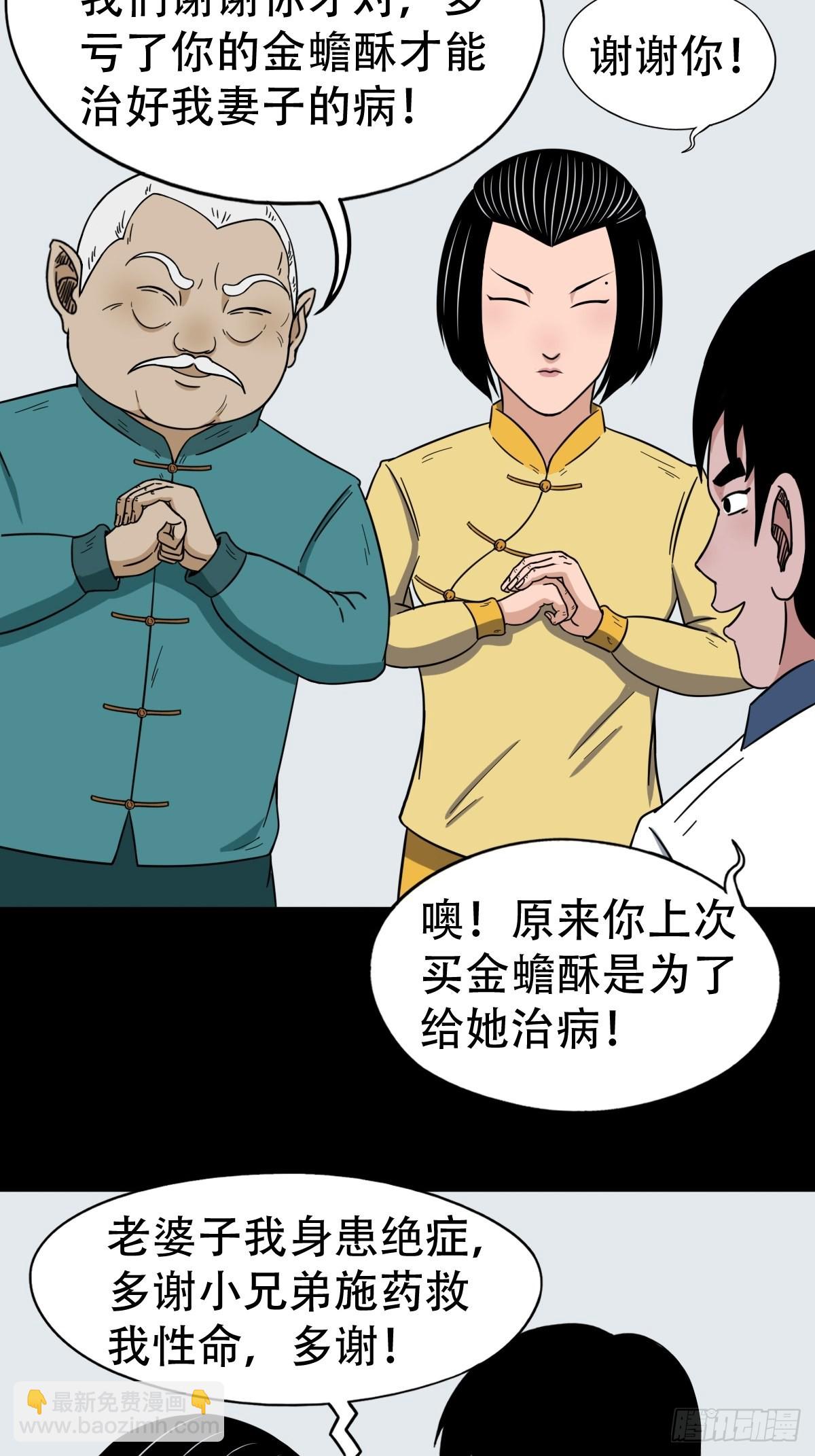 狗宝31