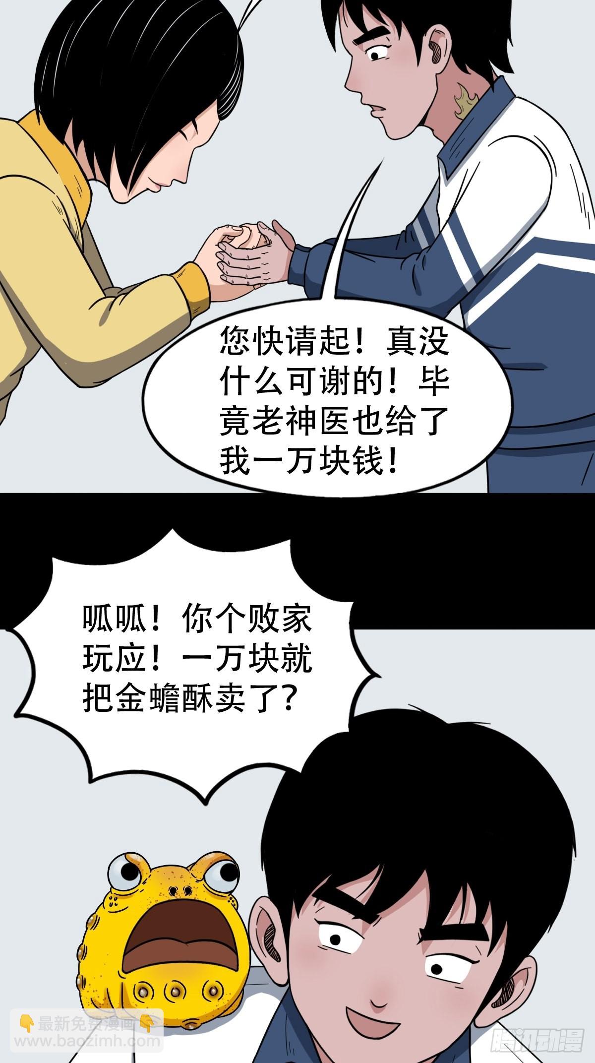 狗宝32