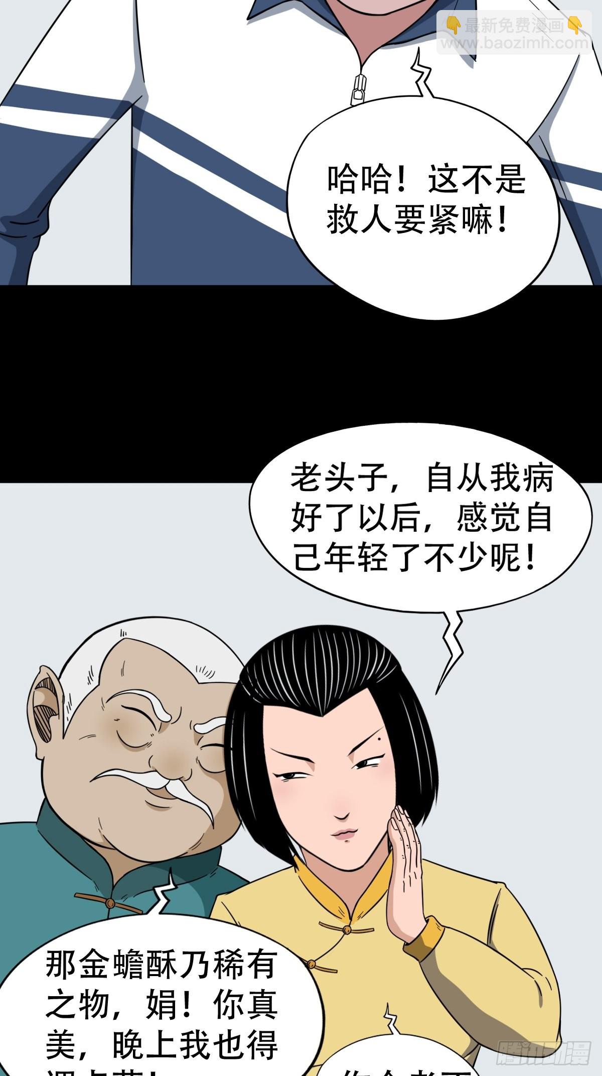 狗宝33