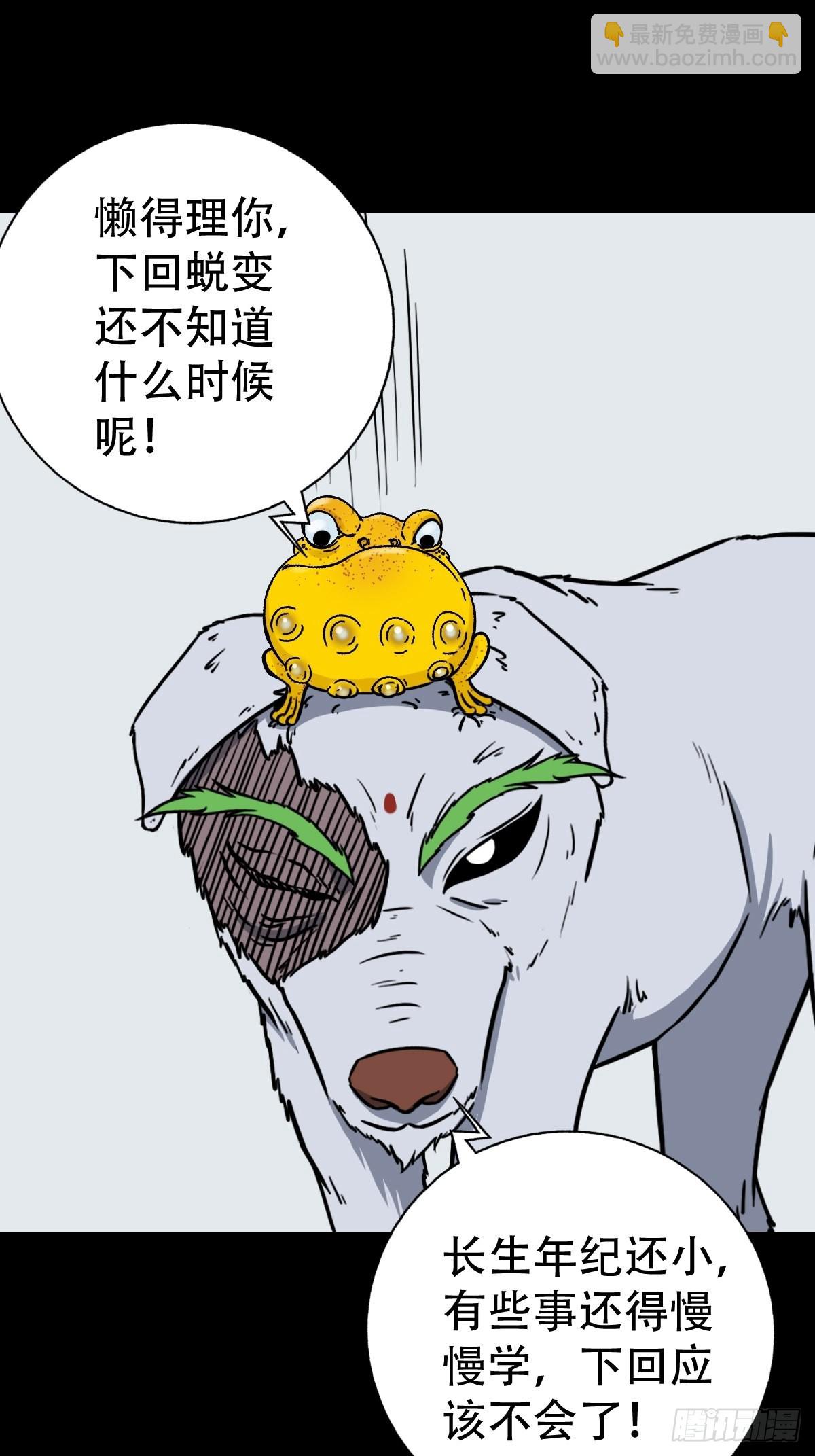 狗宝35