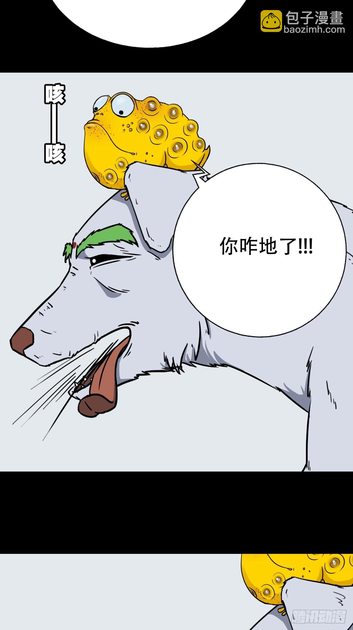 狗宝37