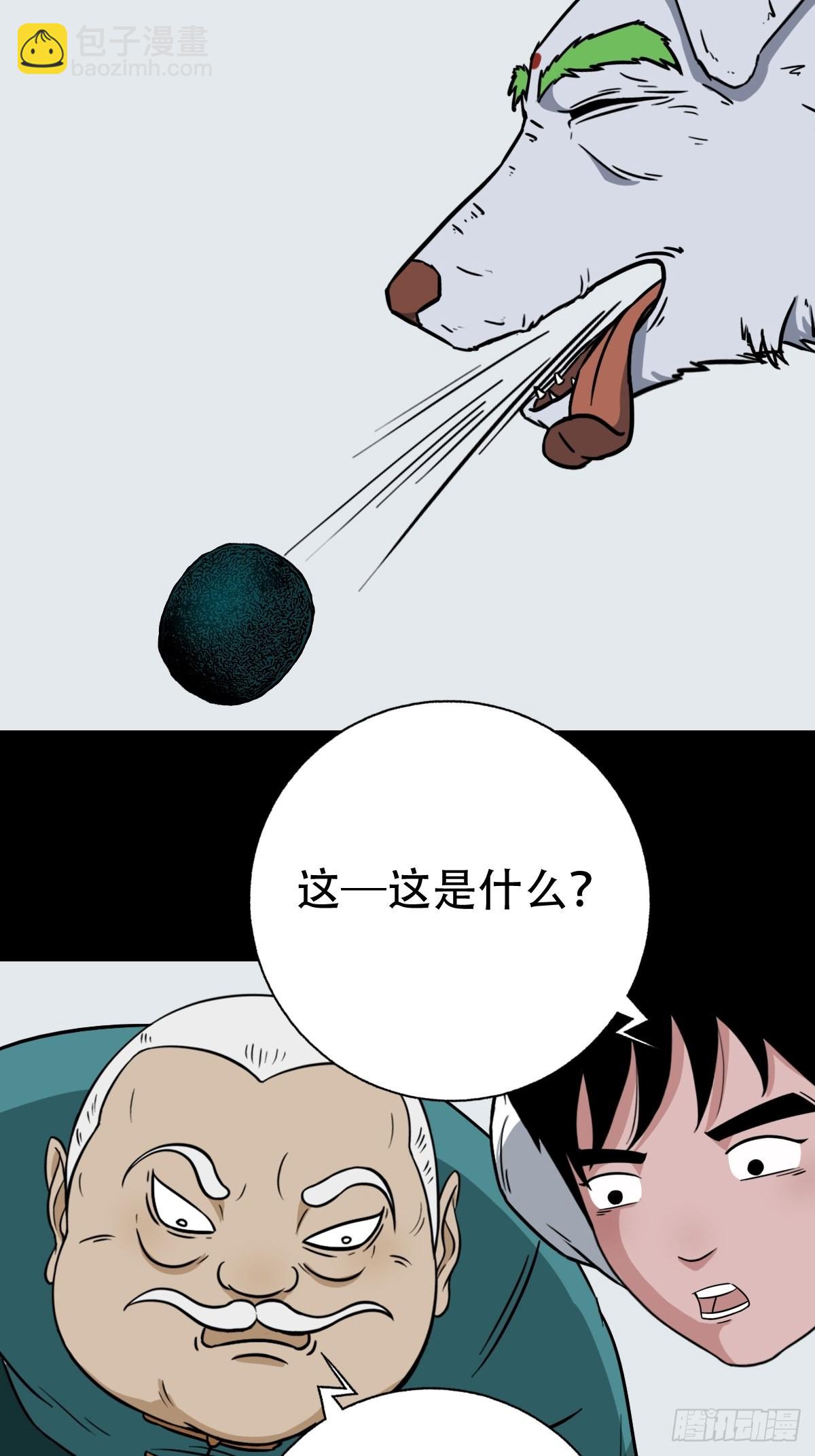 狗宝38