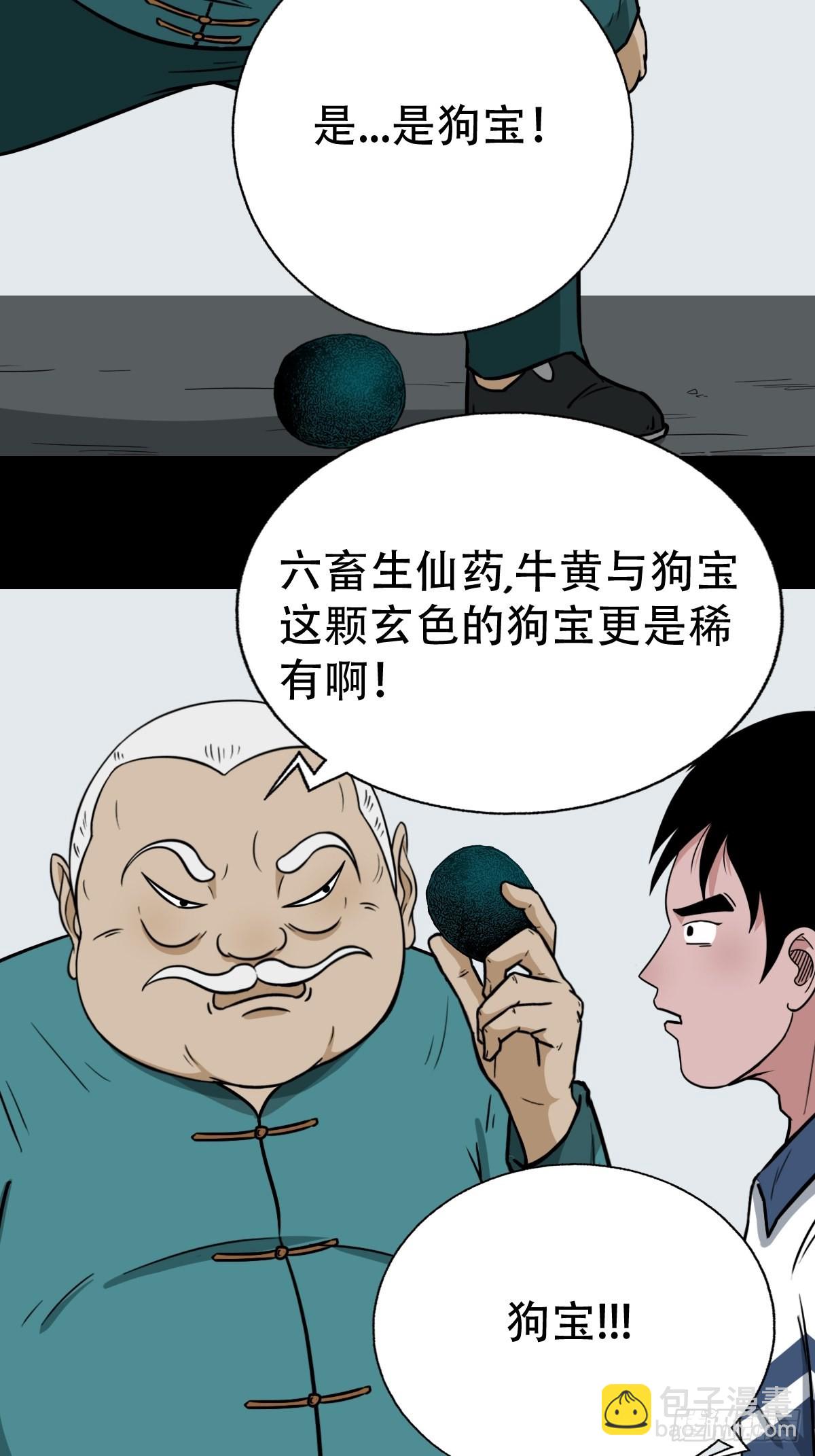 狗宝39