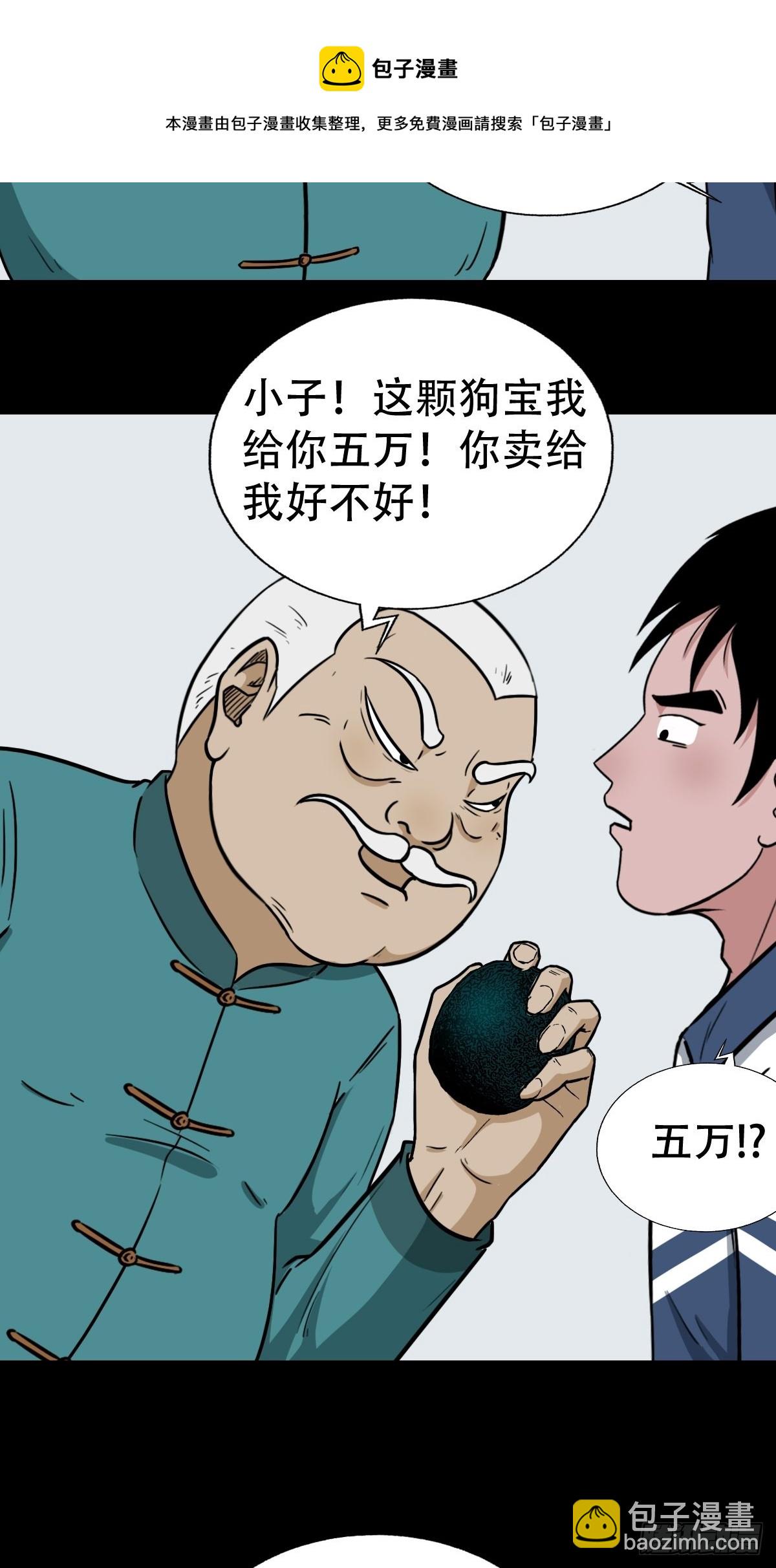 狗宝40