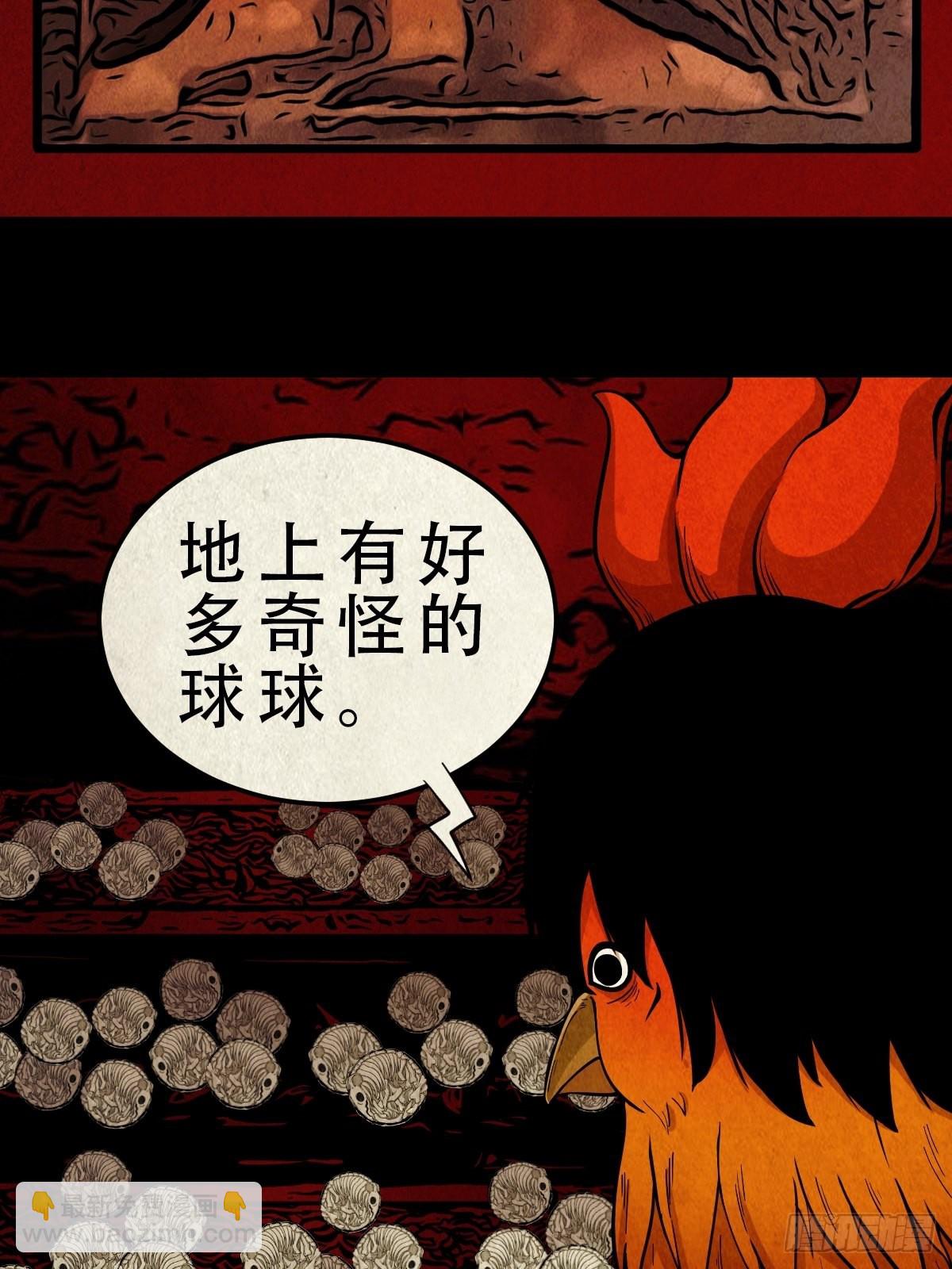 怪鸮1