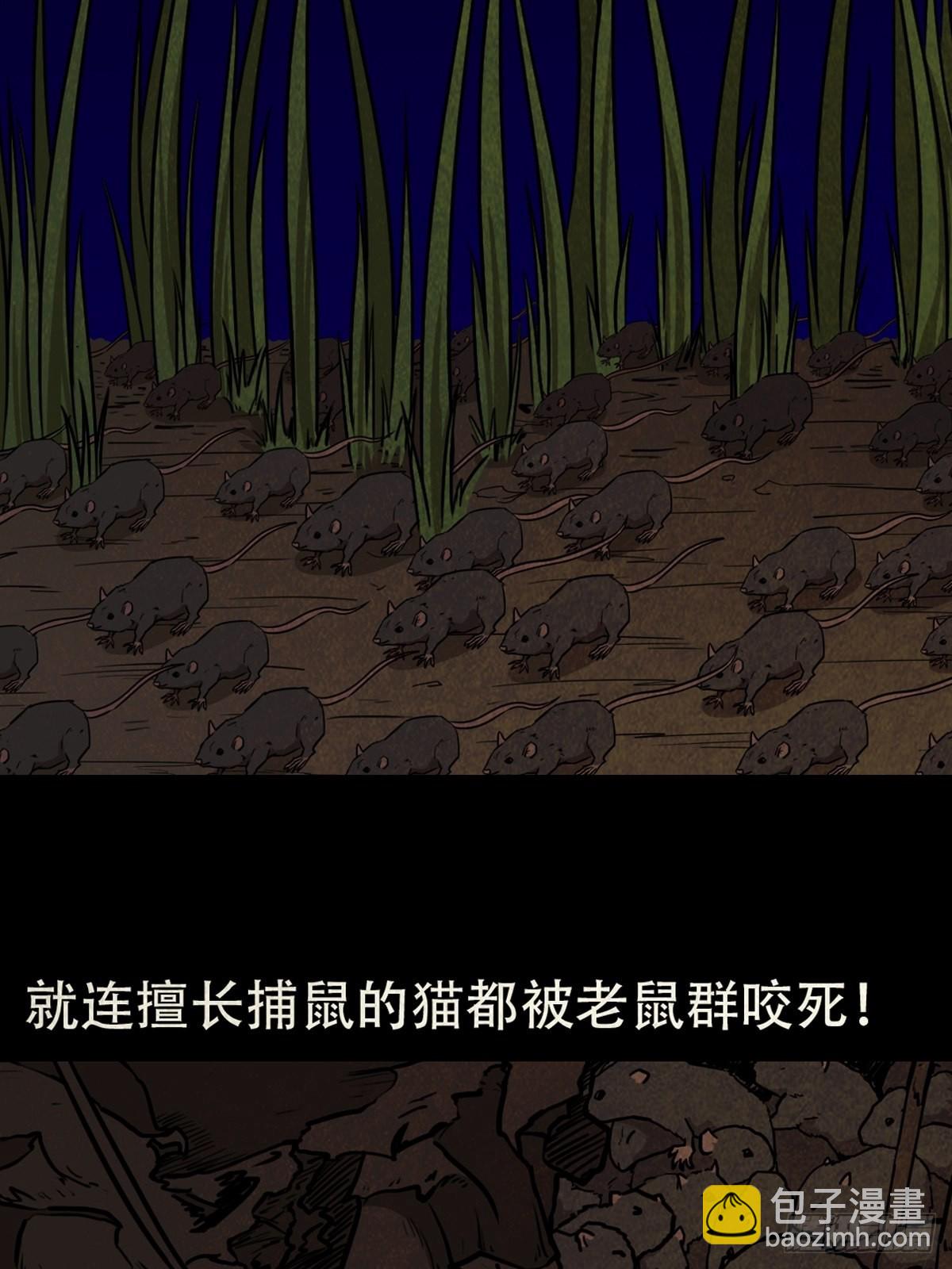 怪鸮36