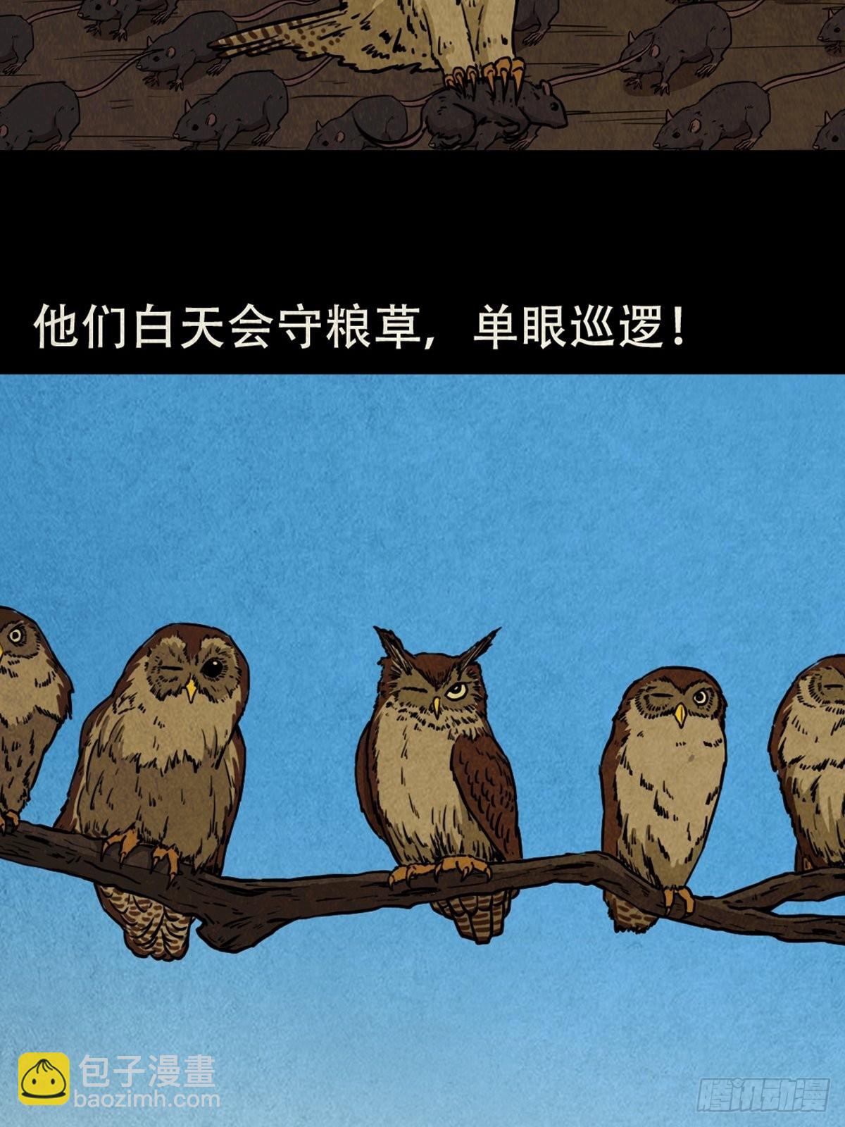 怪鸮42