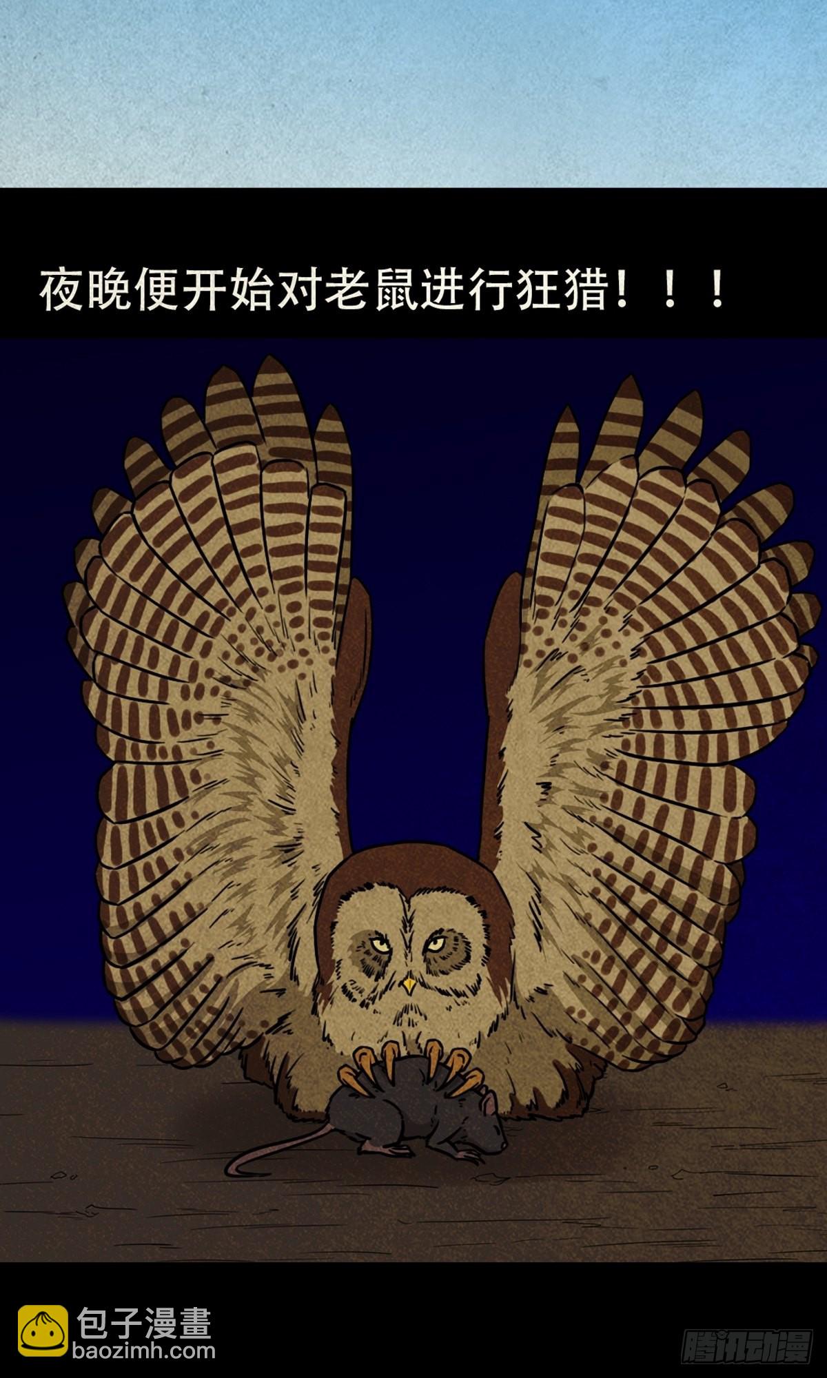 怪鸮43
