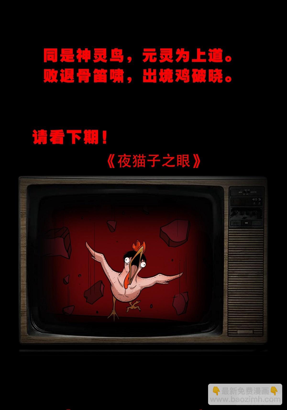 怪鸮62