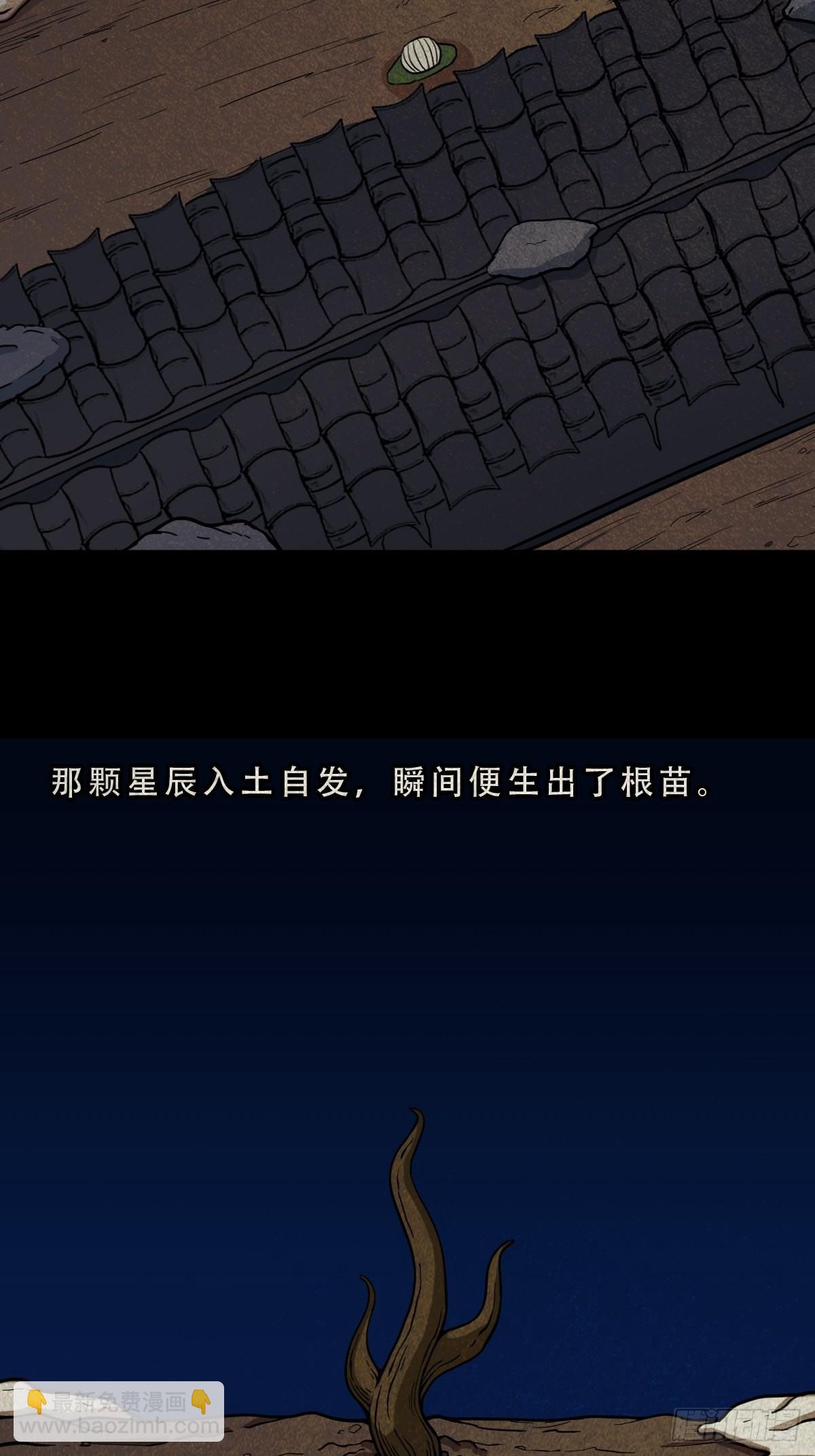 四仙拱寿31