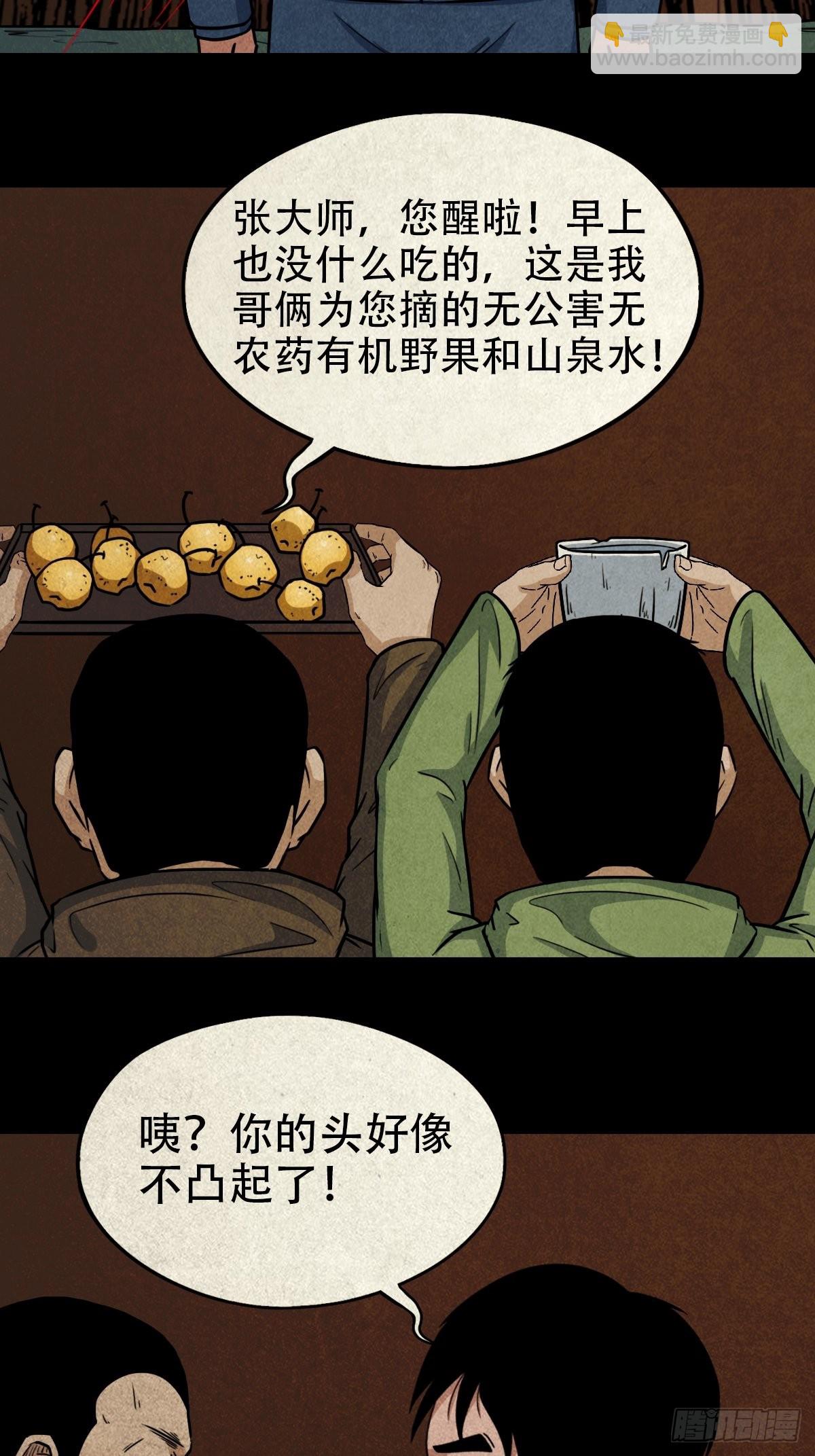 火枣16