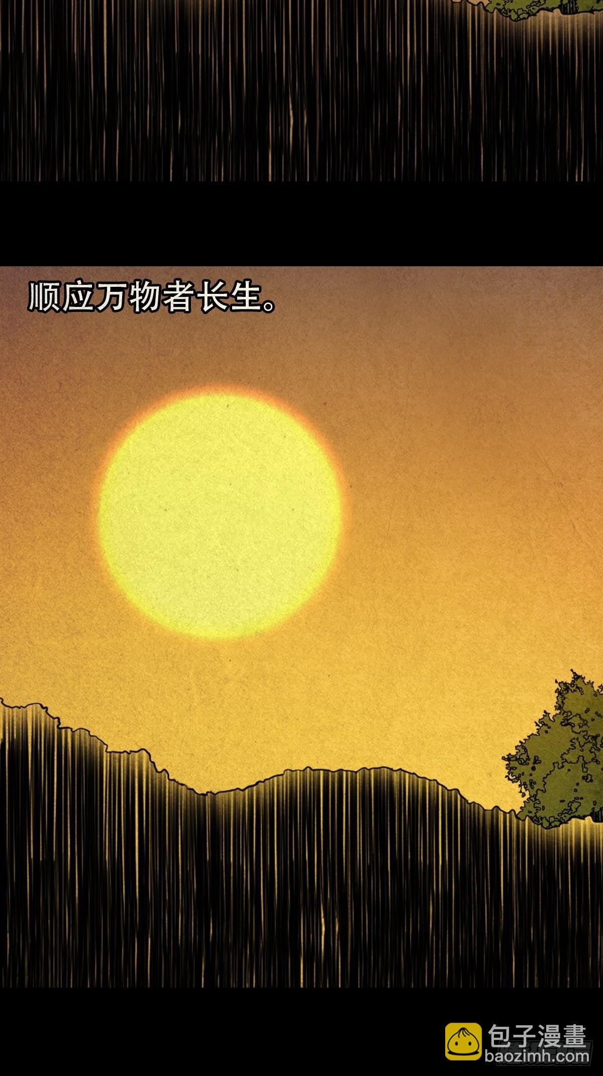 火枣20