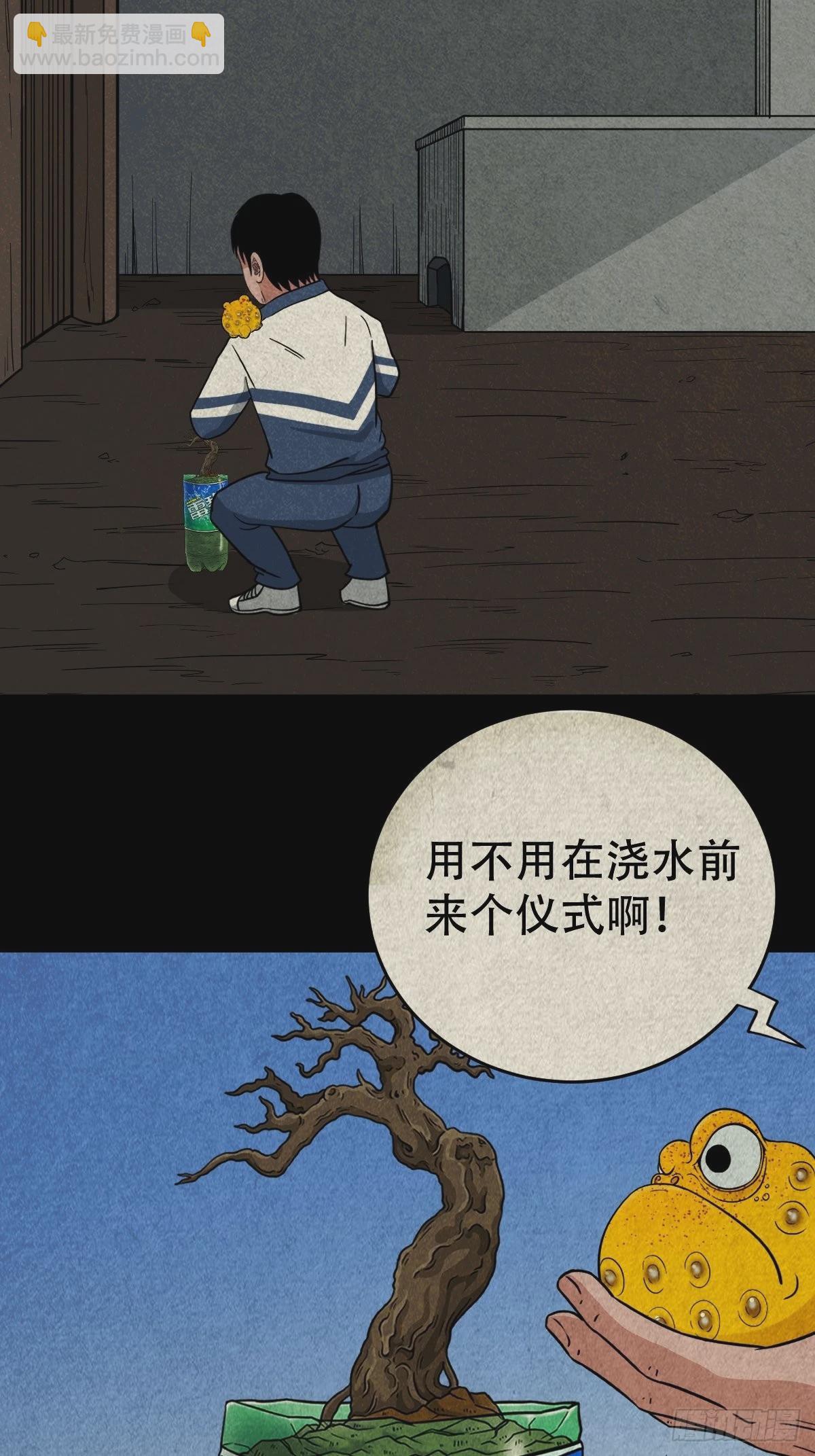 火枣31