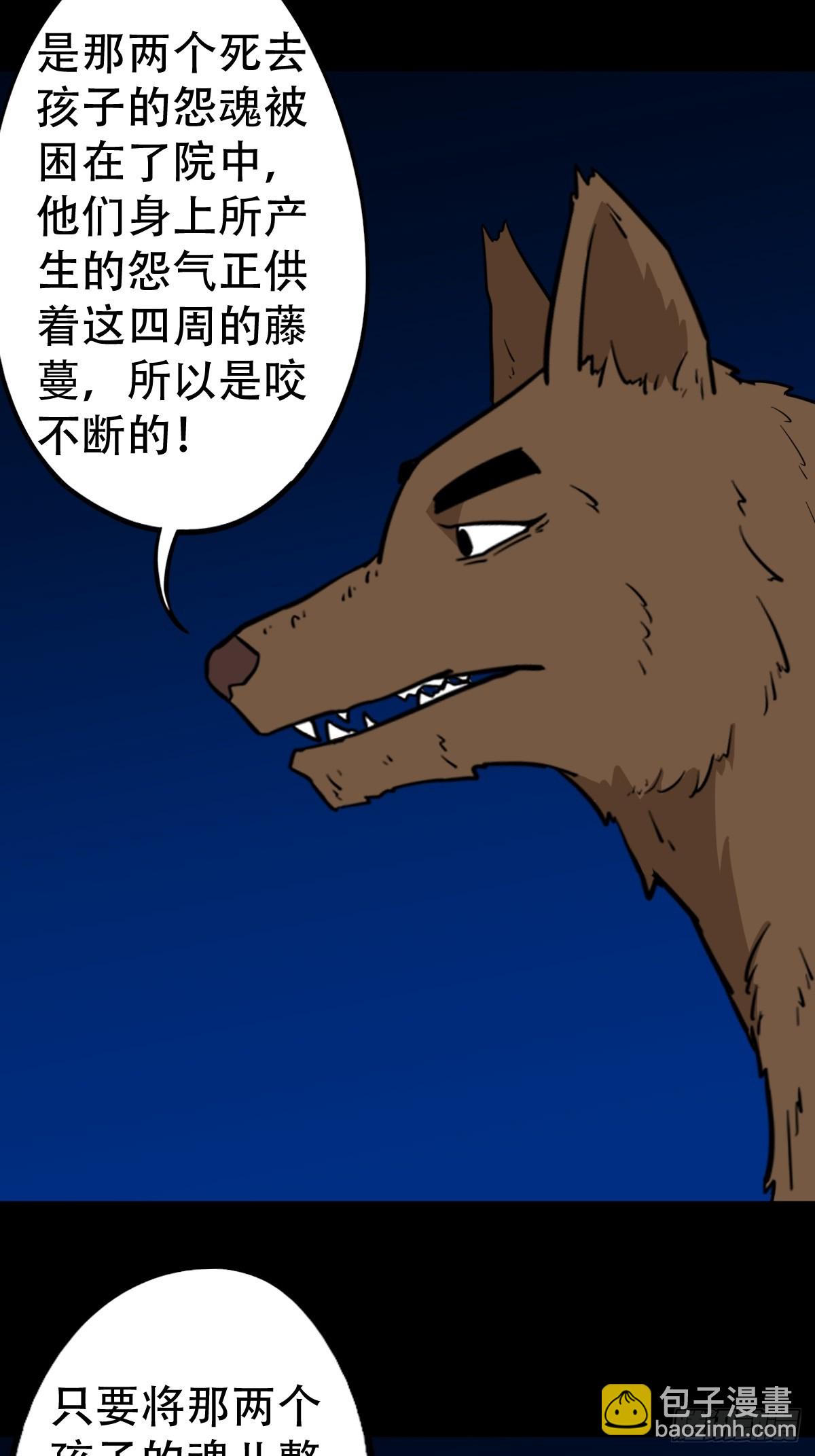 鸭先知11