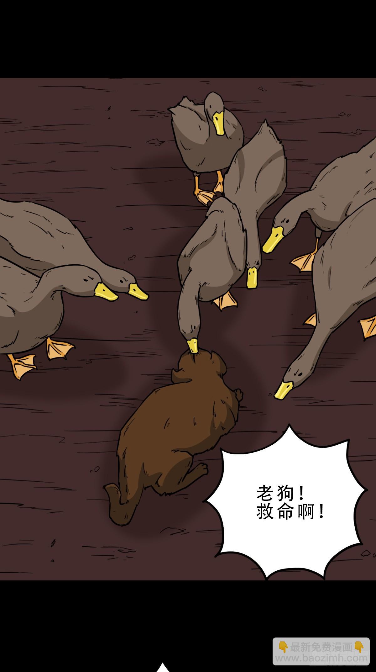鸭先知33