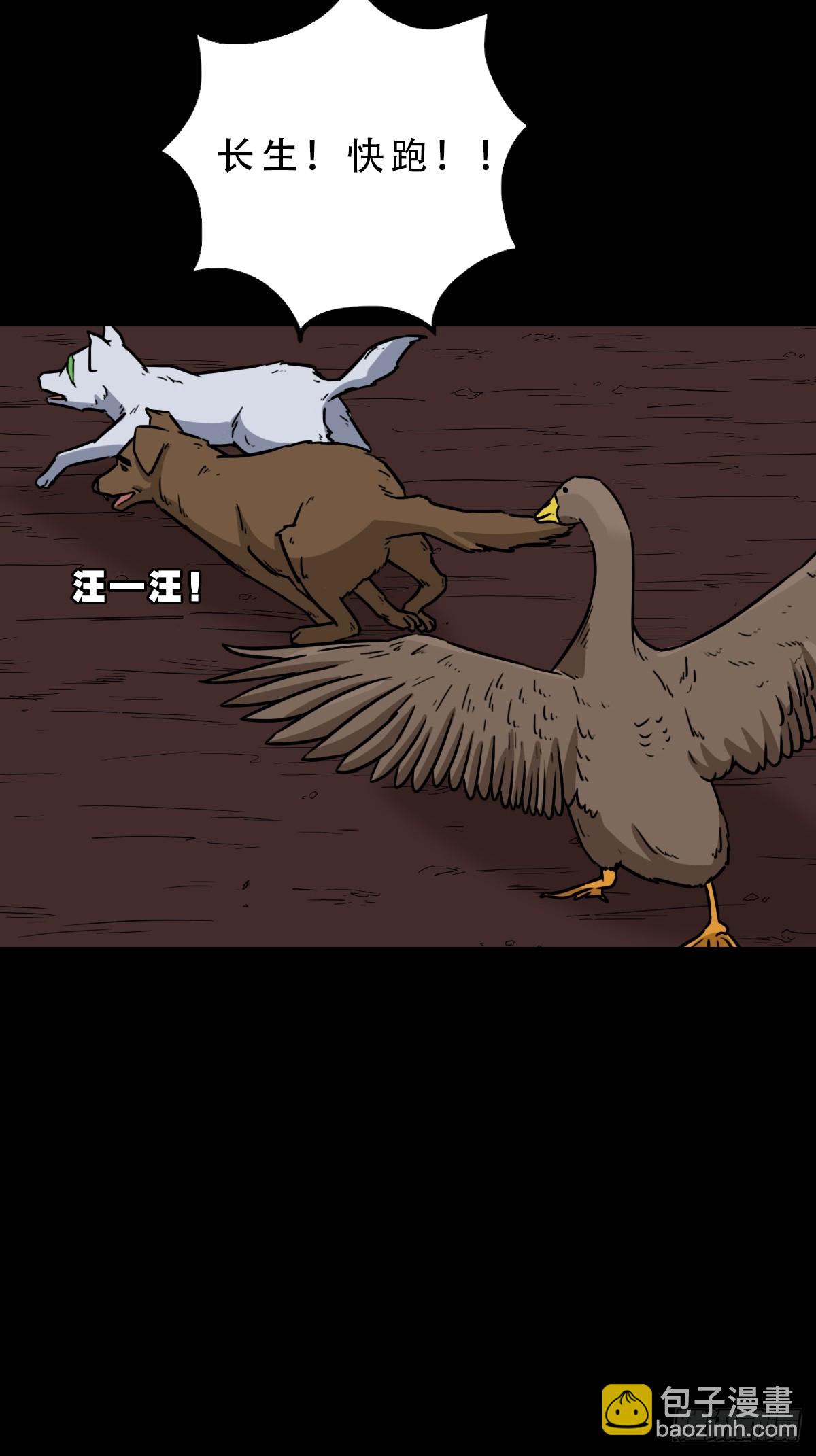 鸭先知34