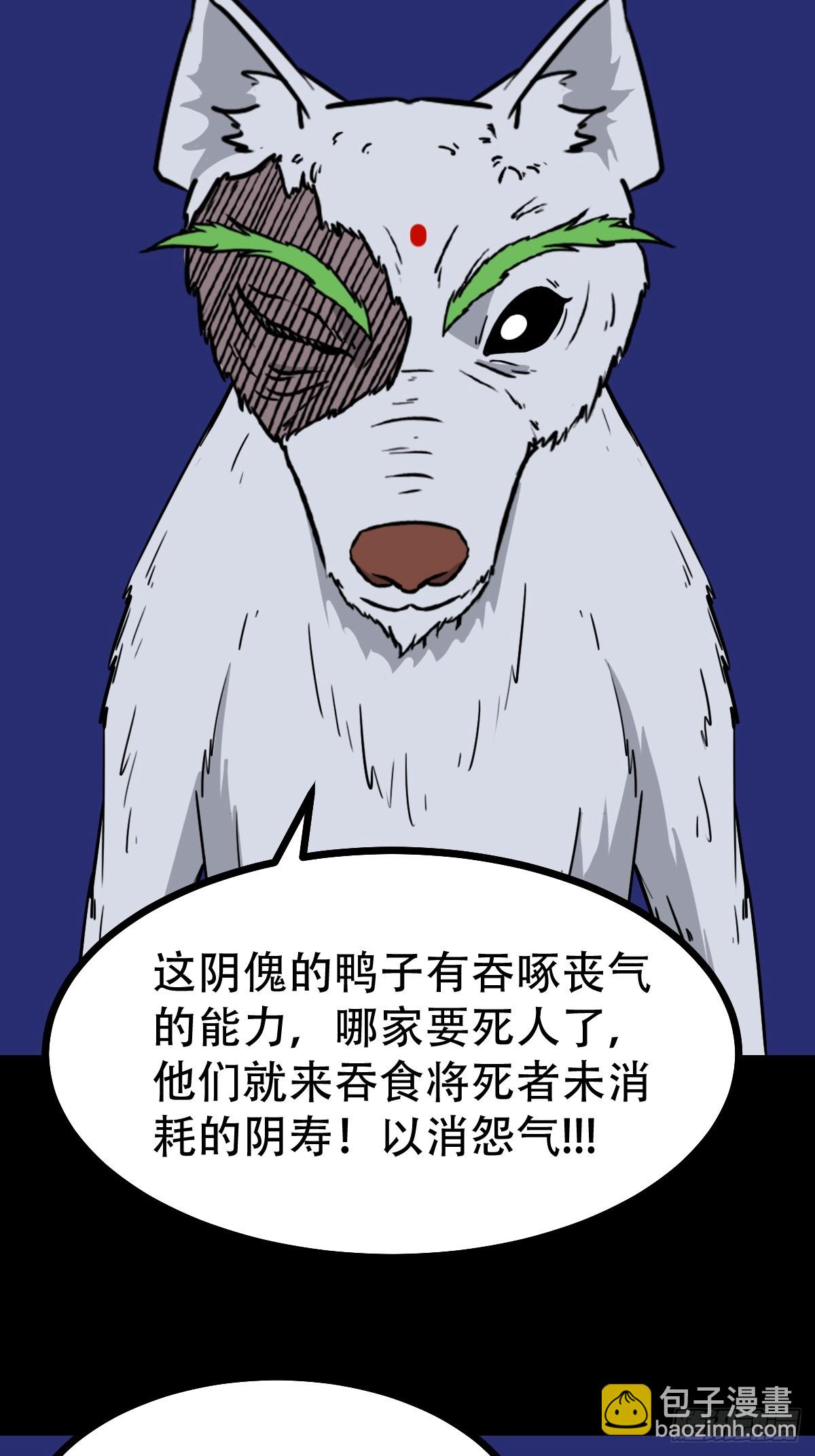 鸭先知37