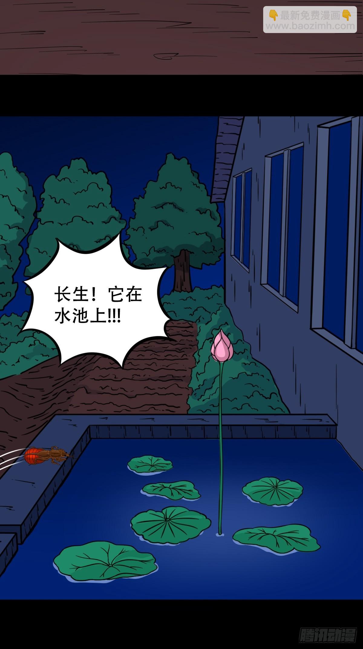 血蝲蛄48