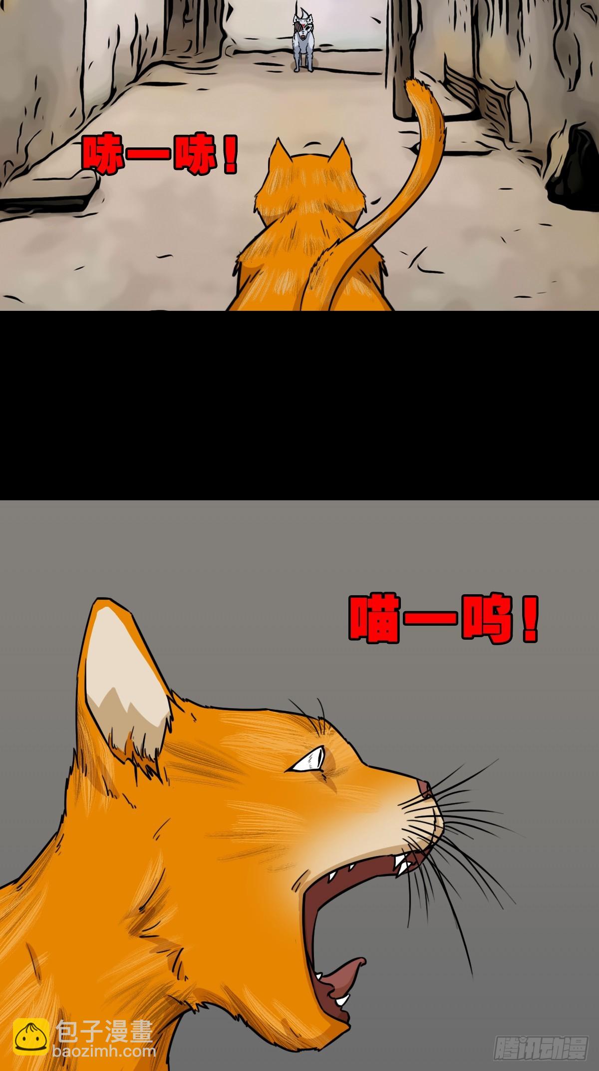 猫狗斗23