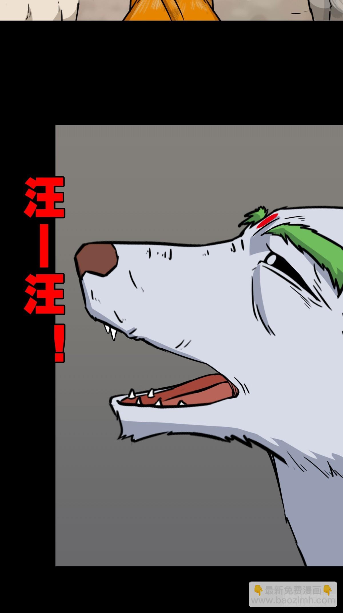 猫狗斗25