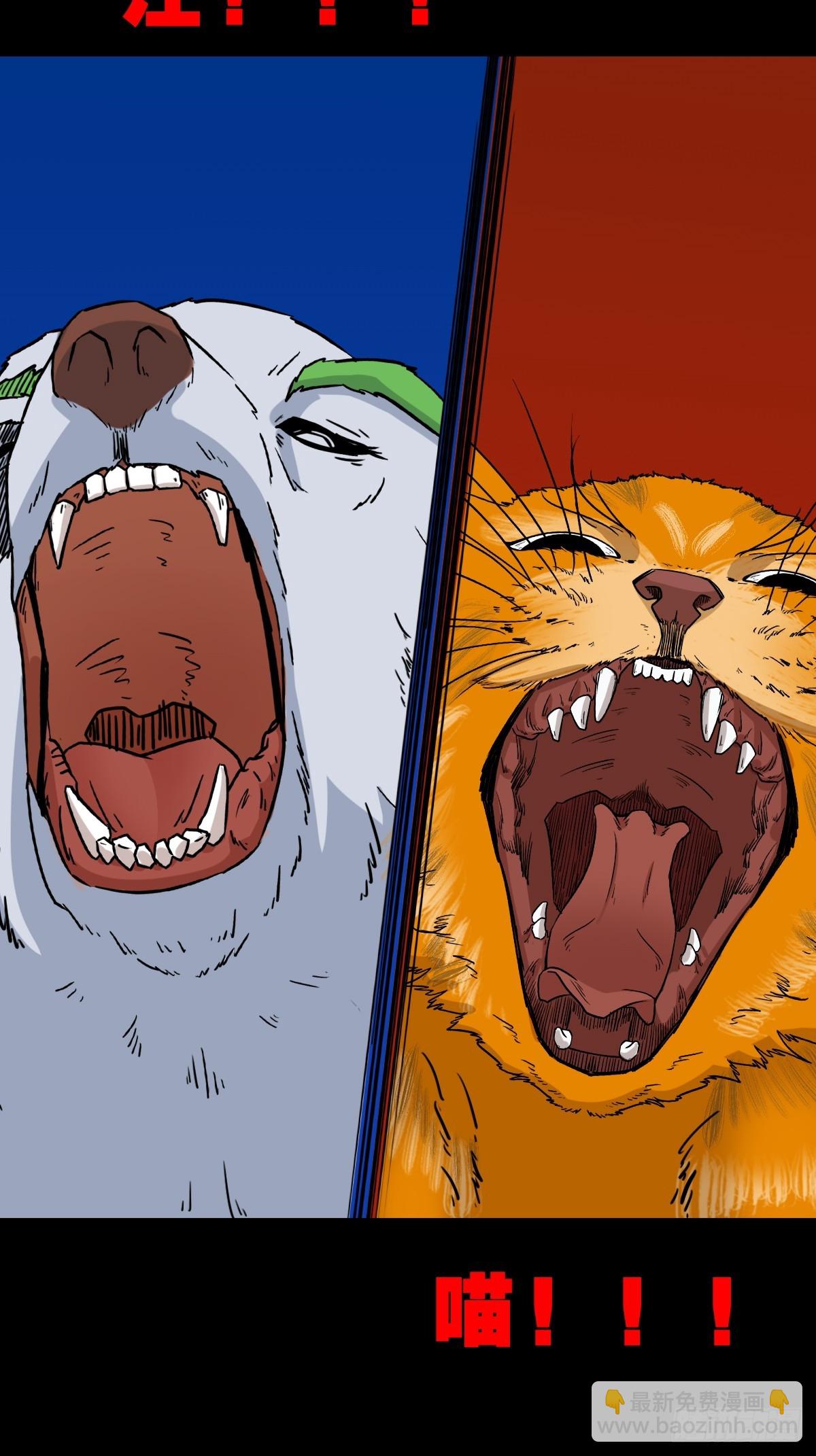 猫狗斗27