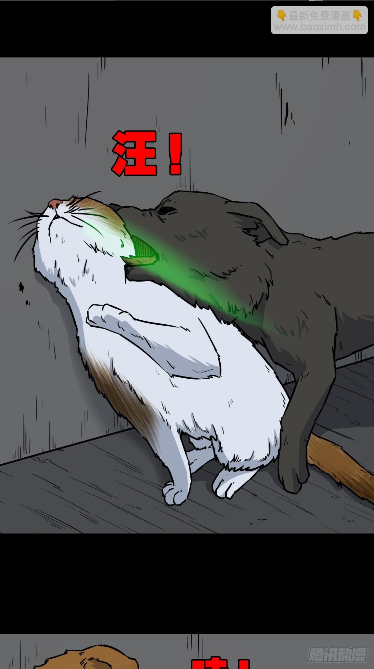 猫狗斗30