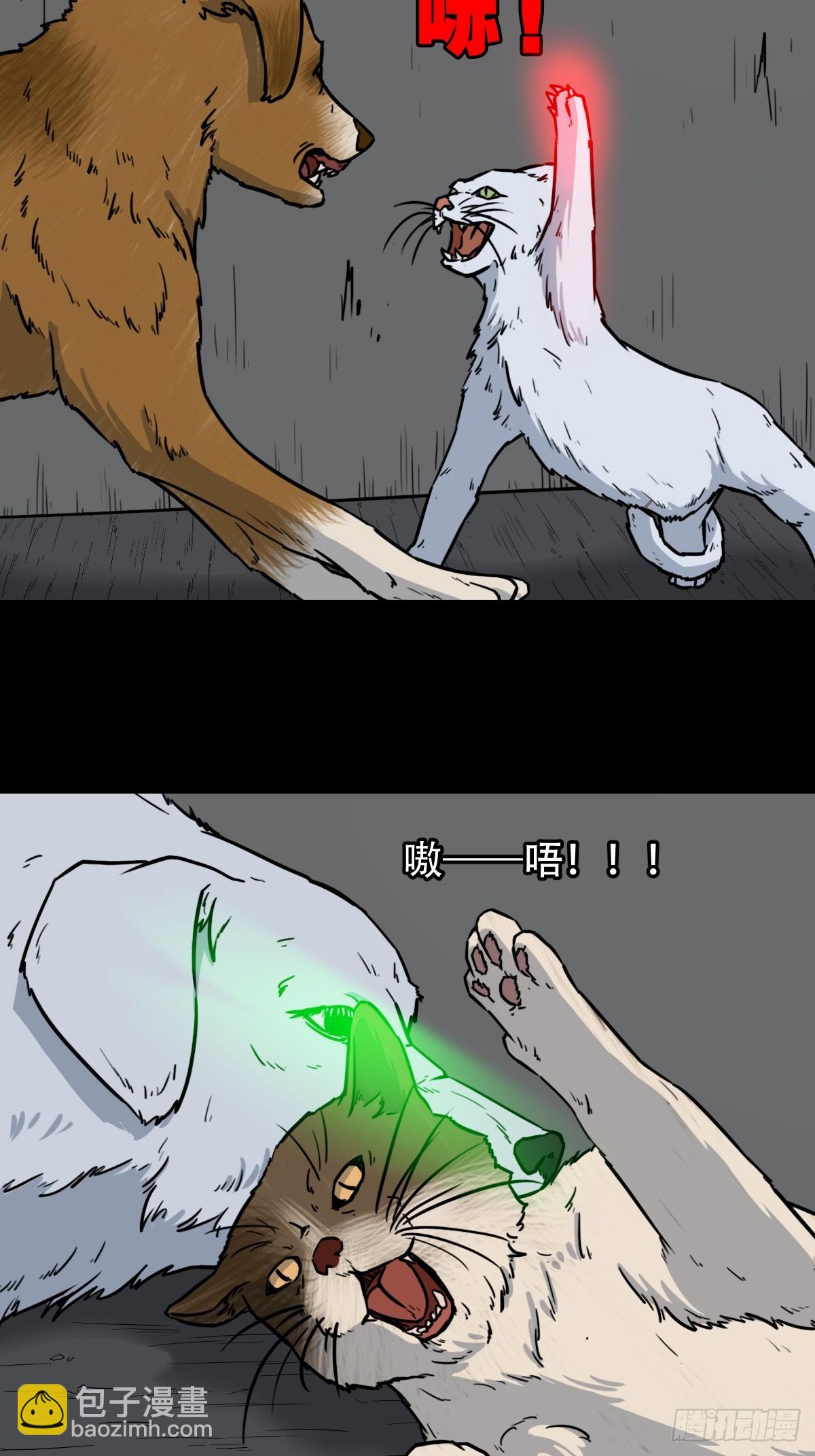 猫狗斗31