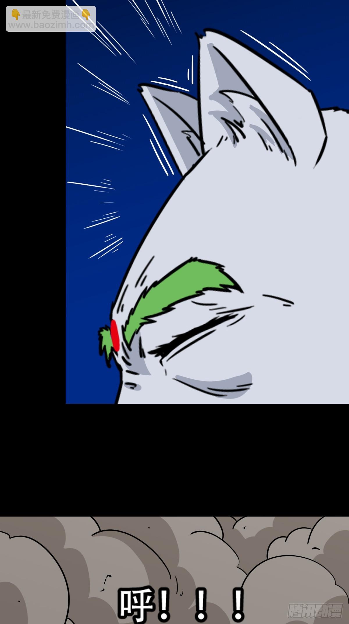 猫狗斗36
