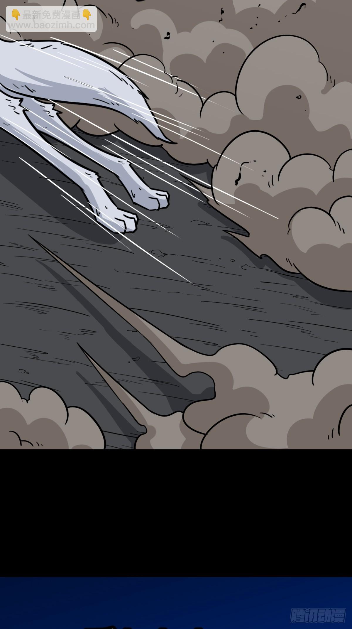 猫狗斗37