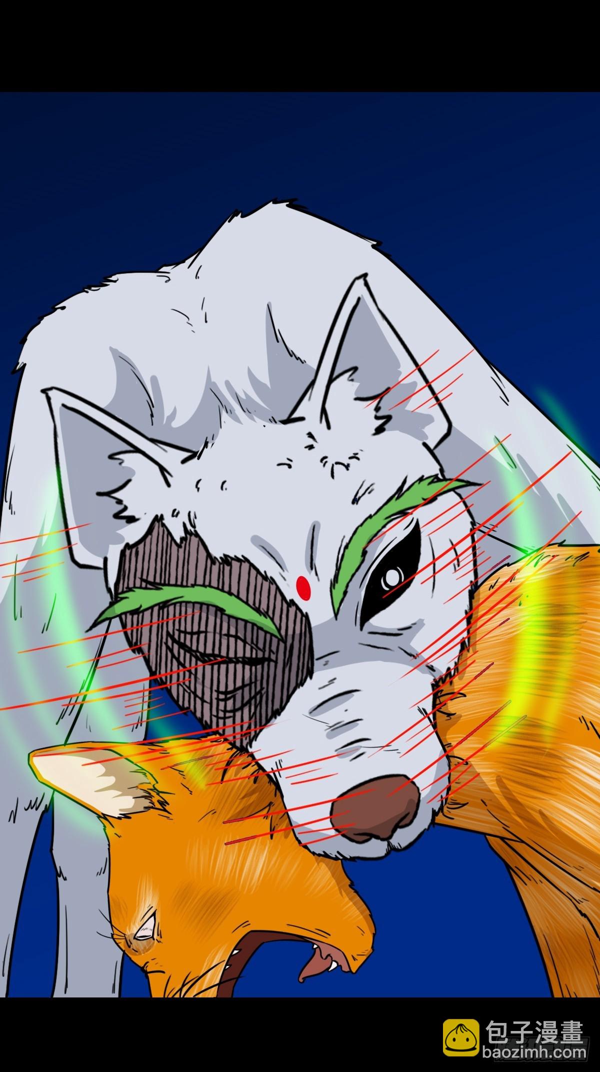 猫狗斗40