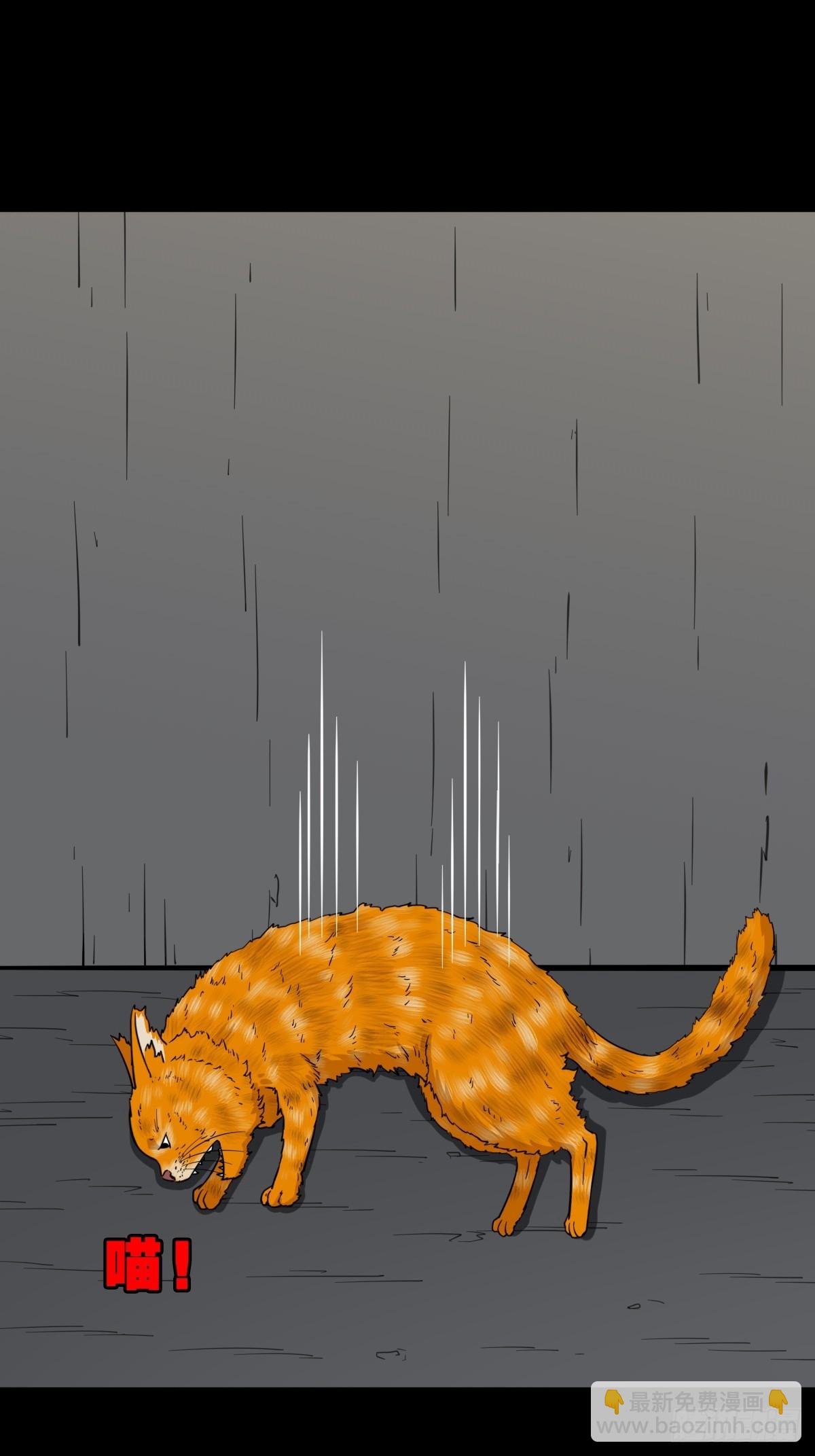 猫狗斗42