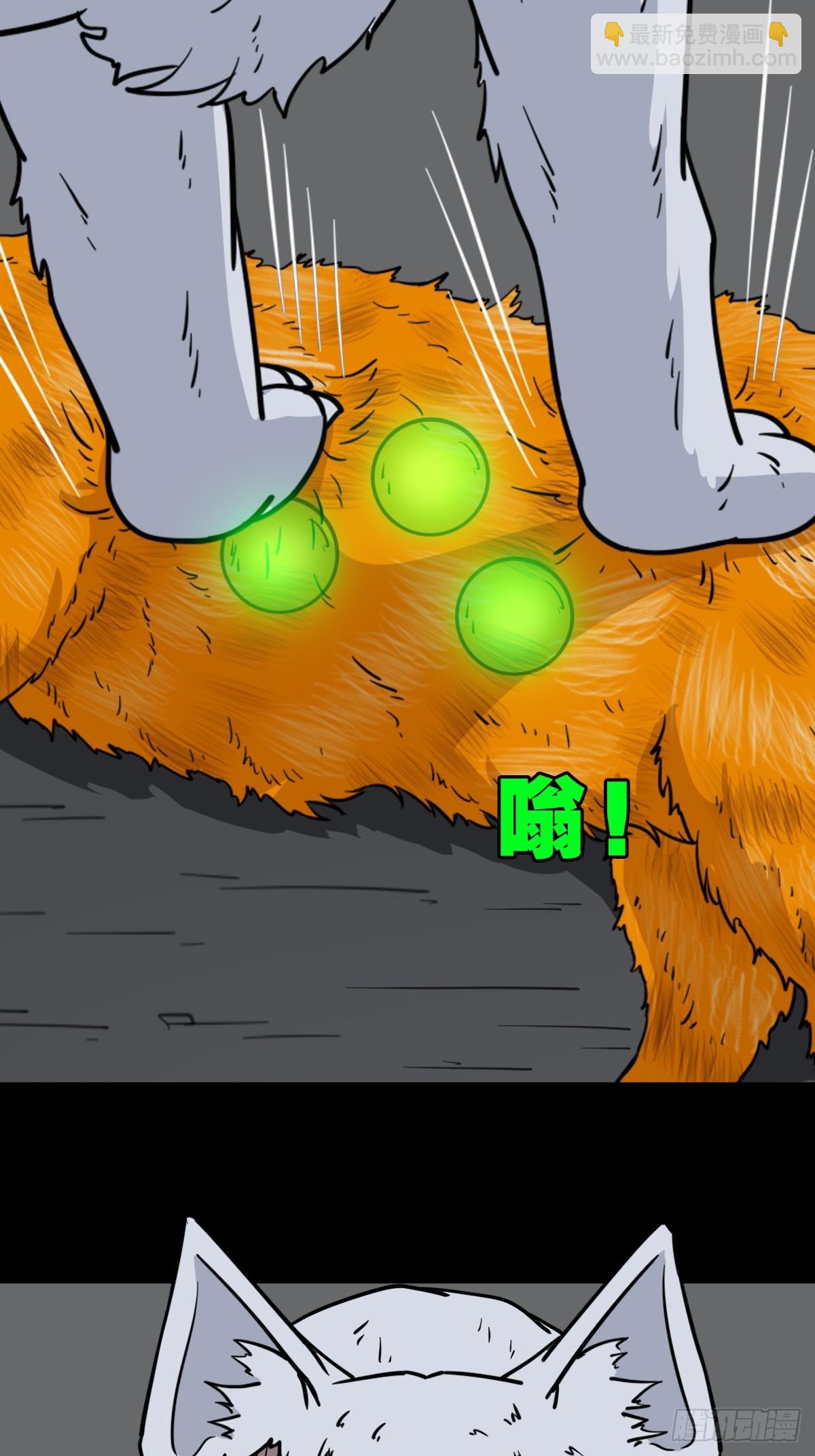 猫狗斗44