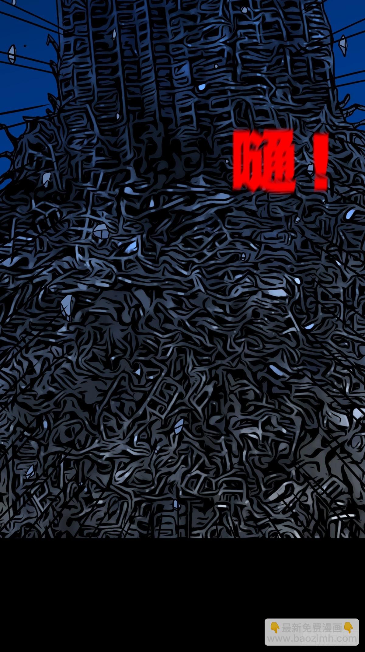 占荒41