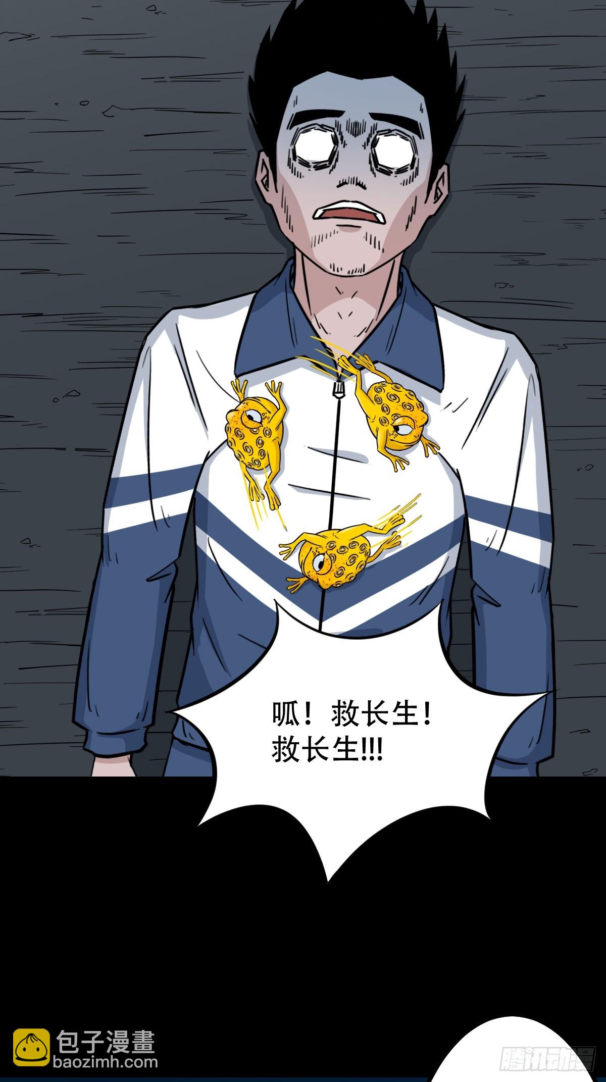 红然鸟4
