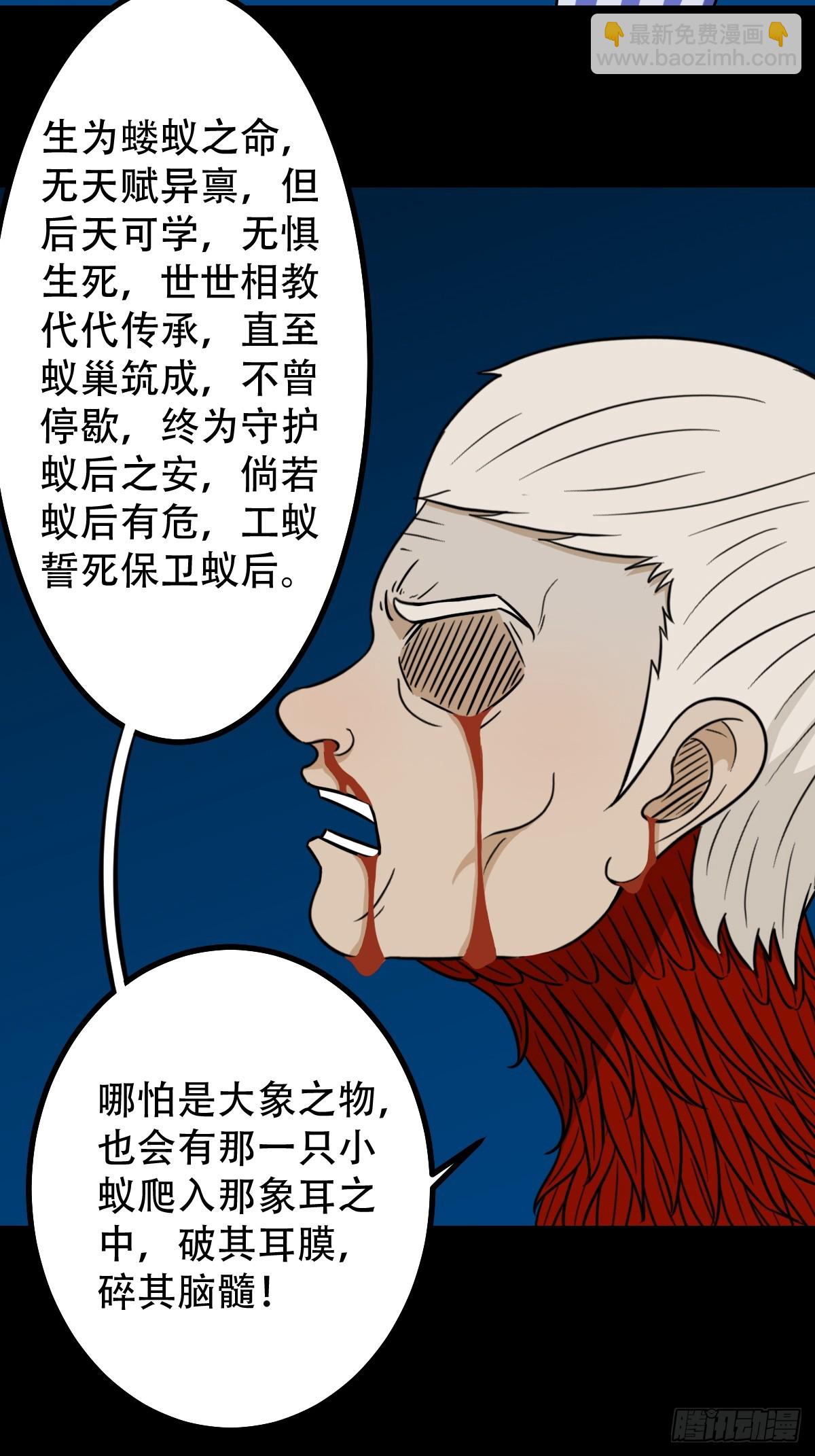 红然鸟54