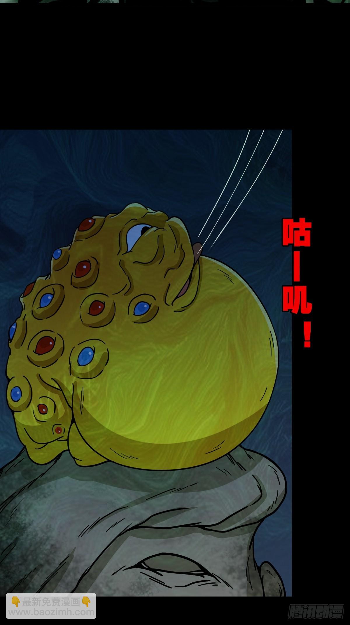 化夜鸮13