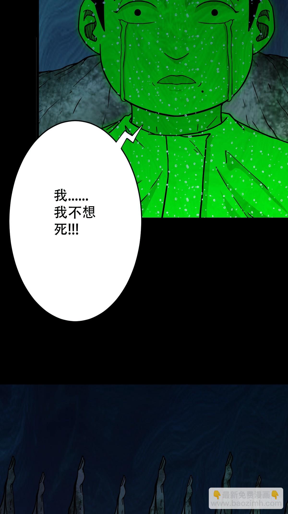 化夜鸮4