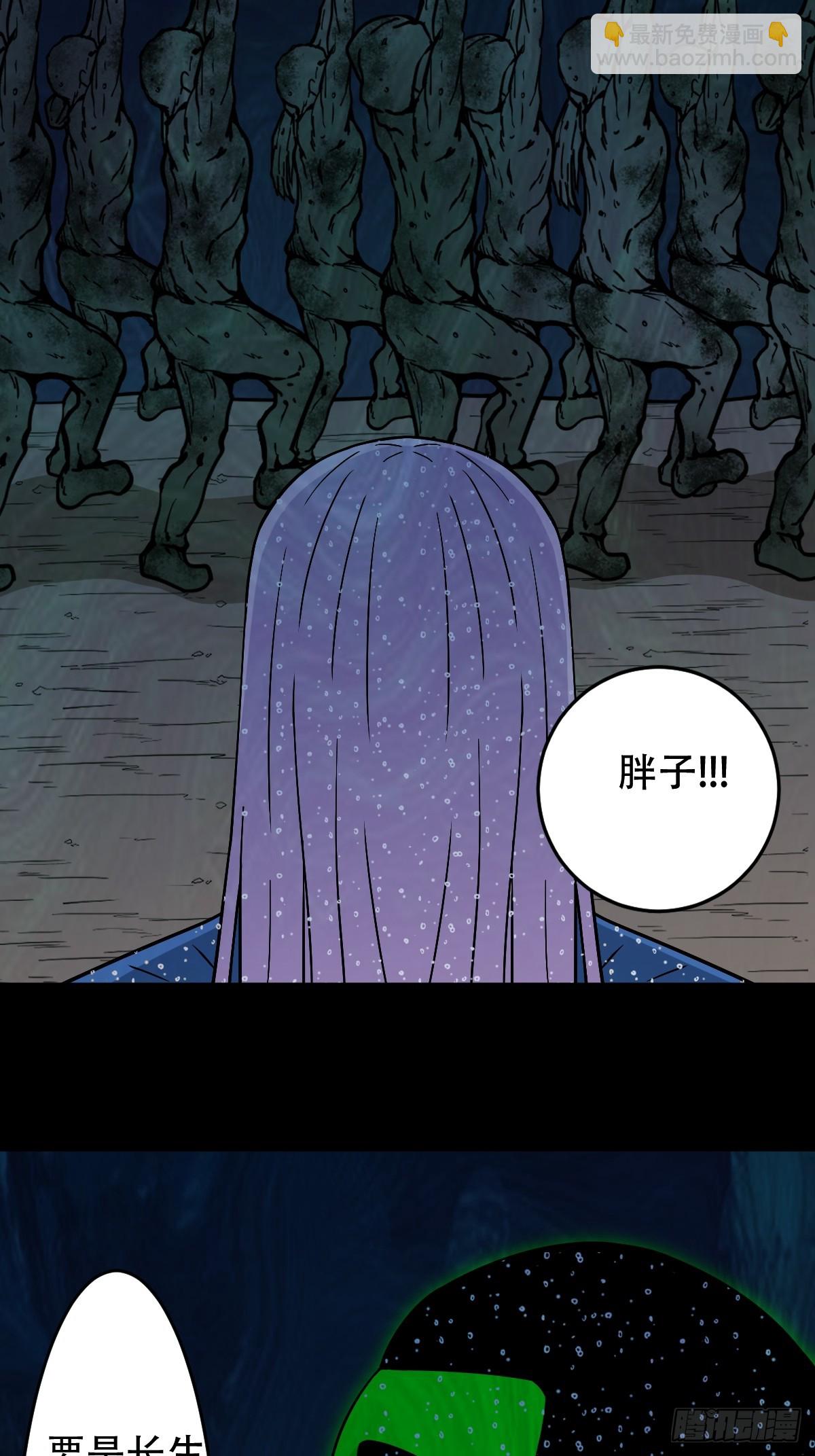 化夜鸮5