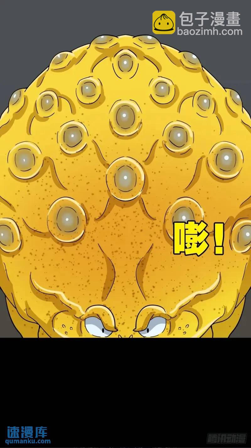 斗仙儿33