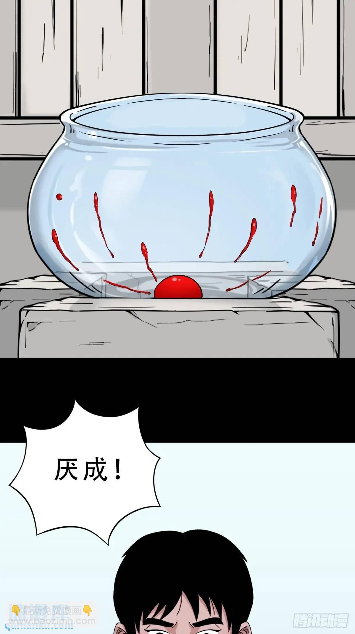 狗宅27