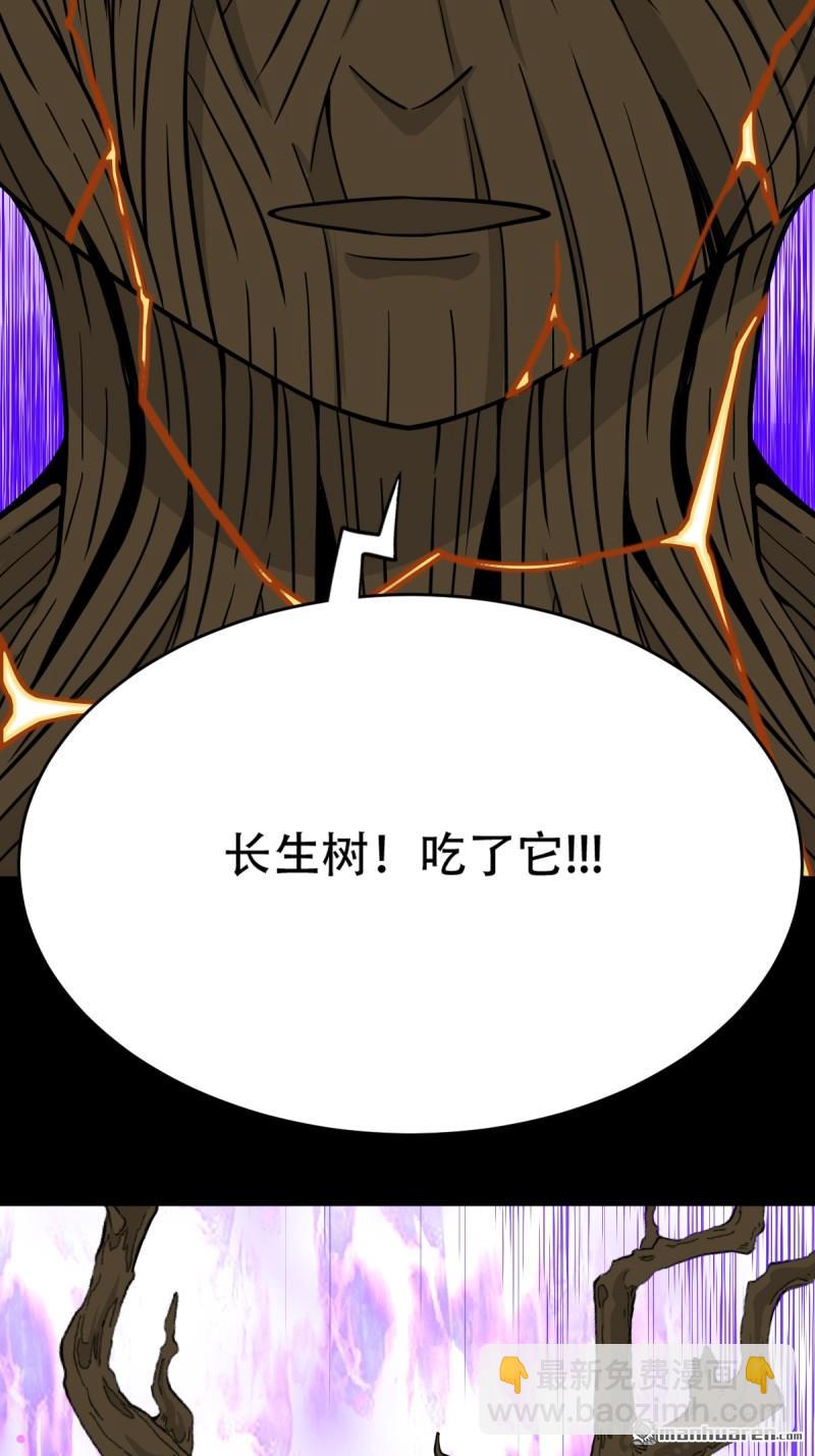 第243回 麒麟果17