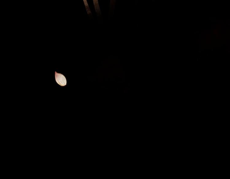 完结篇 各寻归处168