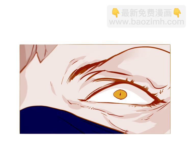 完结篇 各寻归处88
