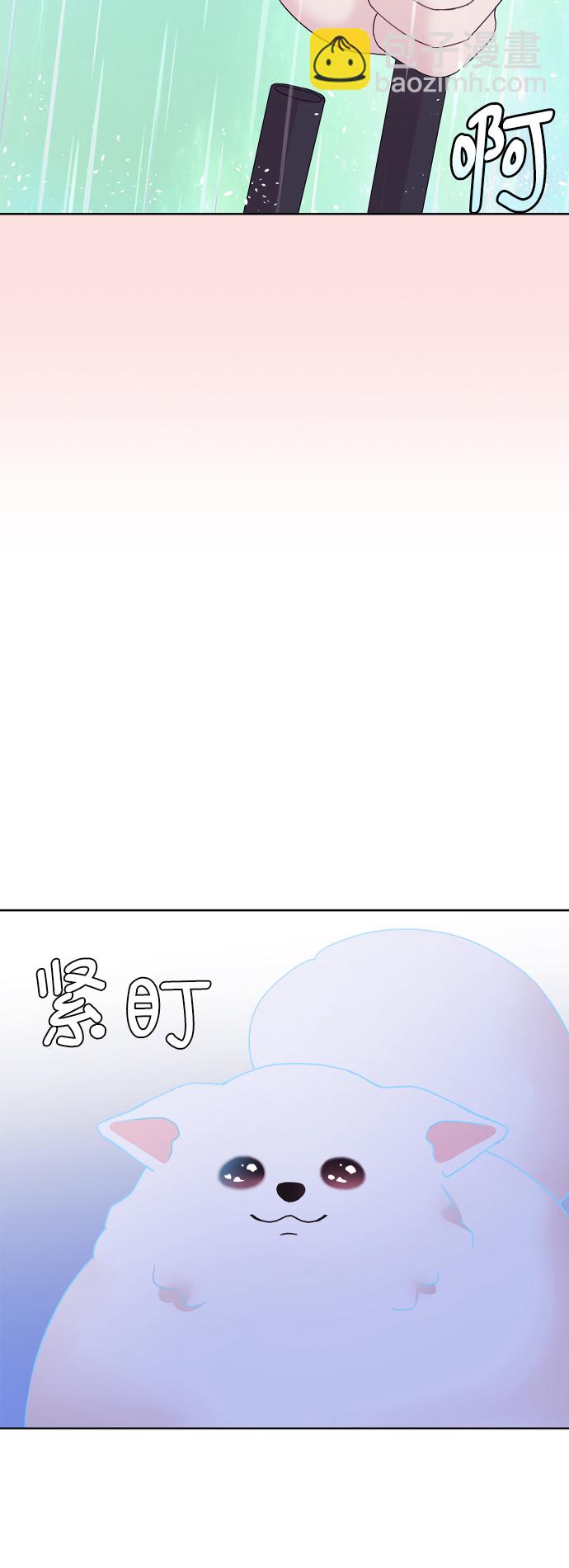 最终话6